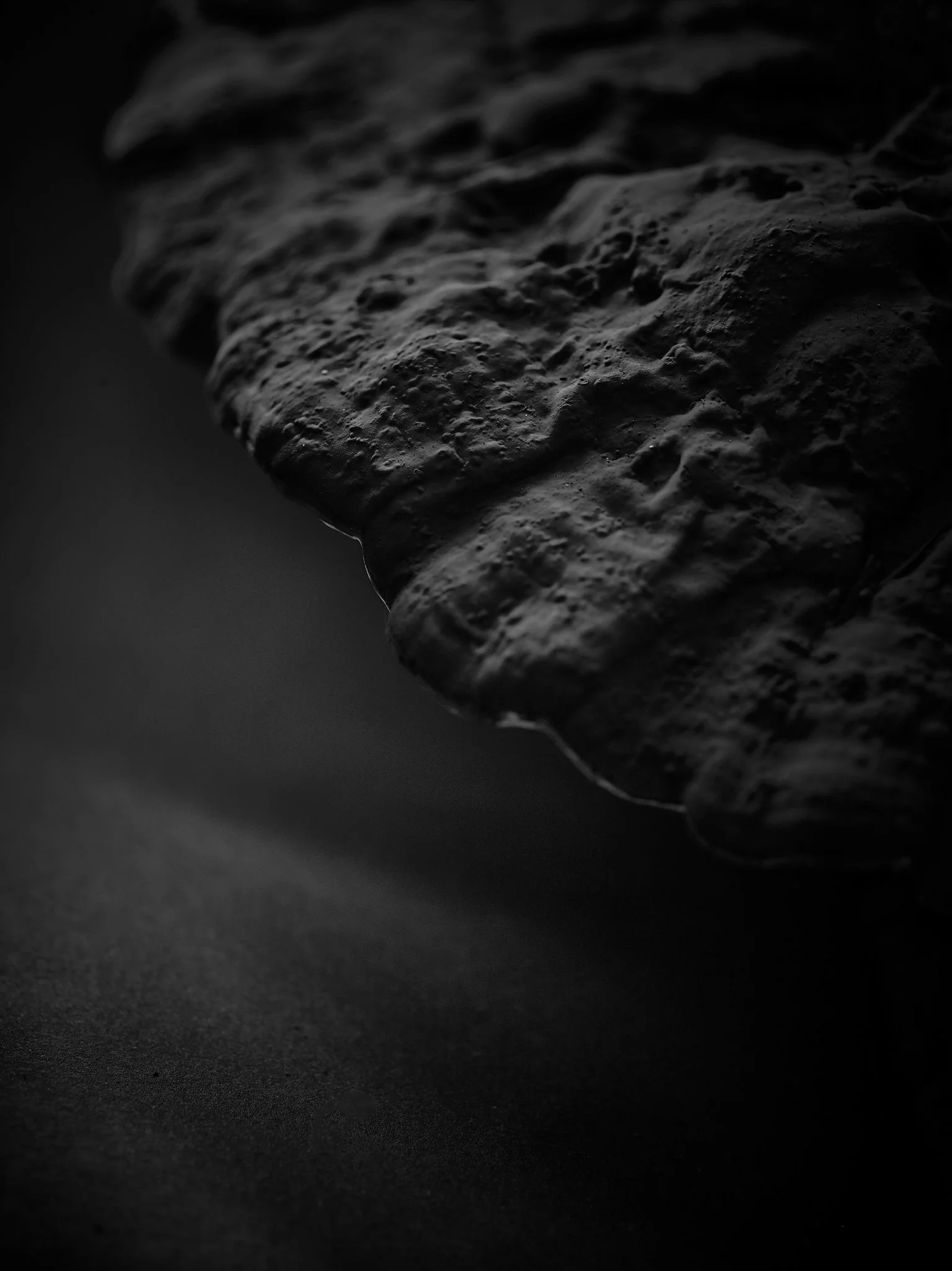 Plate #192925 |  sizes LG: 19" x 25.4"  •  SM: 9.7" x  13"