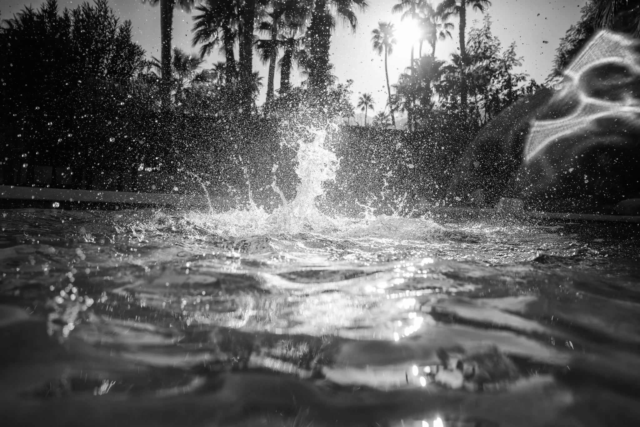 A Pool Reaction |  sizes LG: 28" x 18.7"  •  SM: 14" x  9.3"