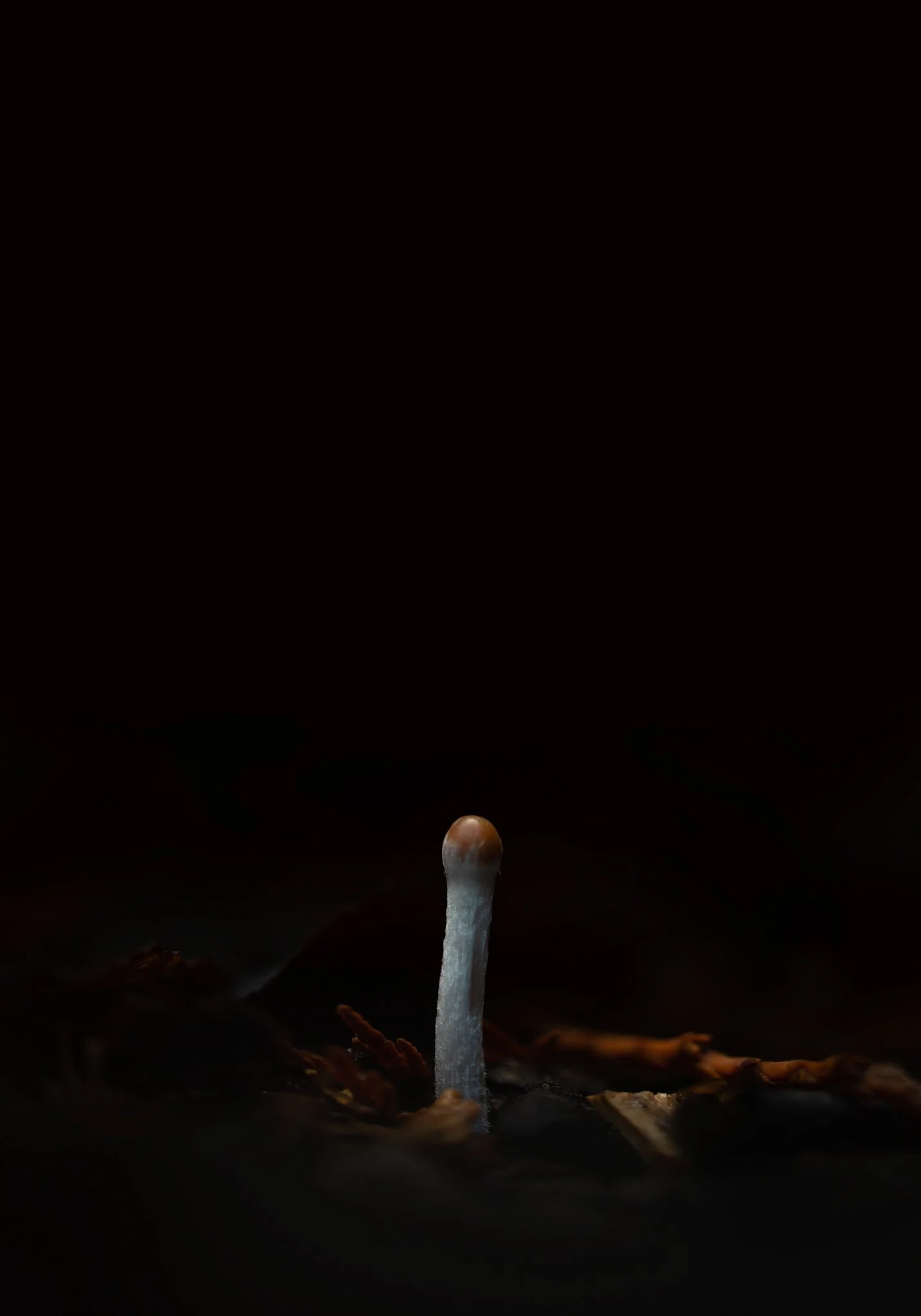 Plate #1112520  |  sizes LG: 21" x 30"  •  SM: 9.1" x  13"