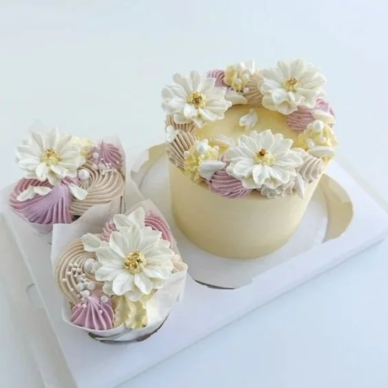 Bento cupcake cake box set cake decorating class in Murrieta, CA
