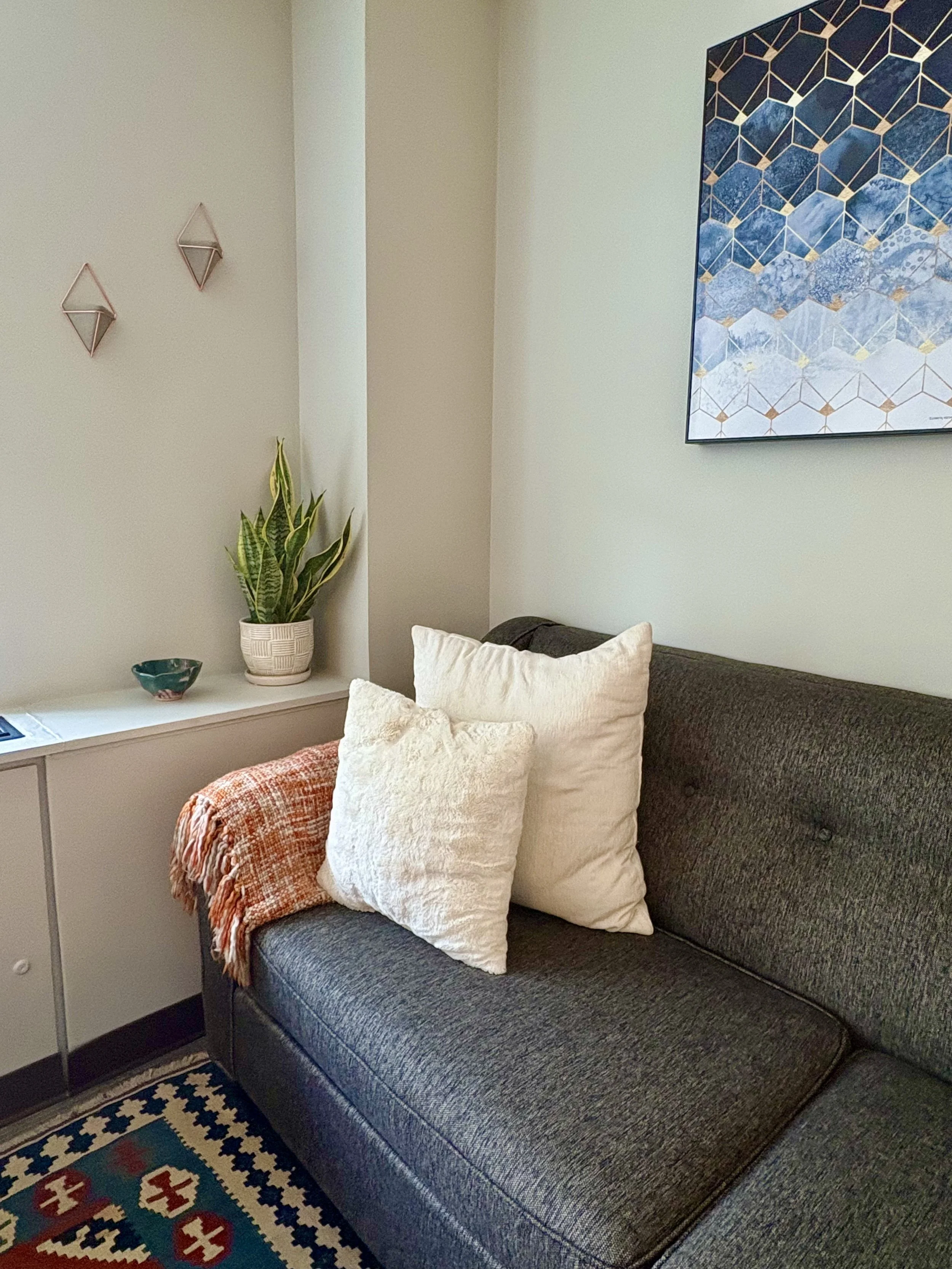 Cozy living room corner with a gray sofa, white pillows, and an orange blanket. A decorative geometric art piece hangs on the wall above. A snake plant and ceramic bowl sit on a nearby shelf. Two small wall hangings add decor to the scene. A patterned area rug is partially visible on the floor.