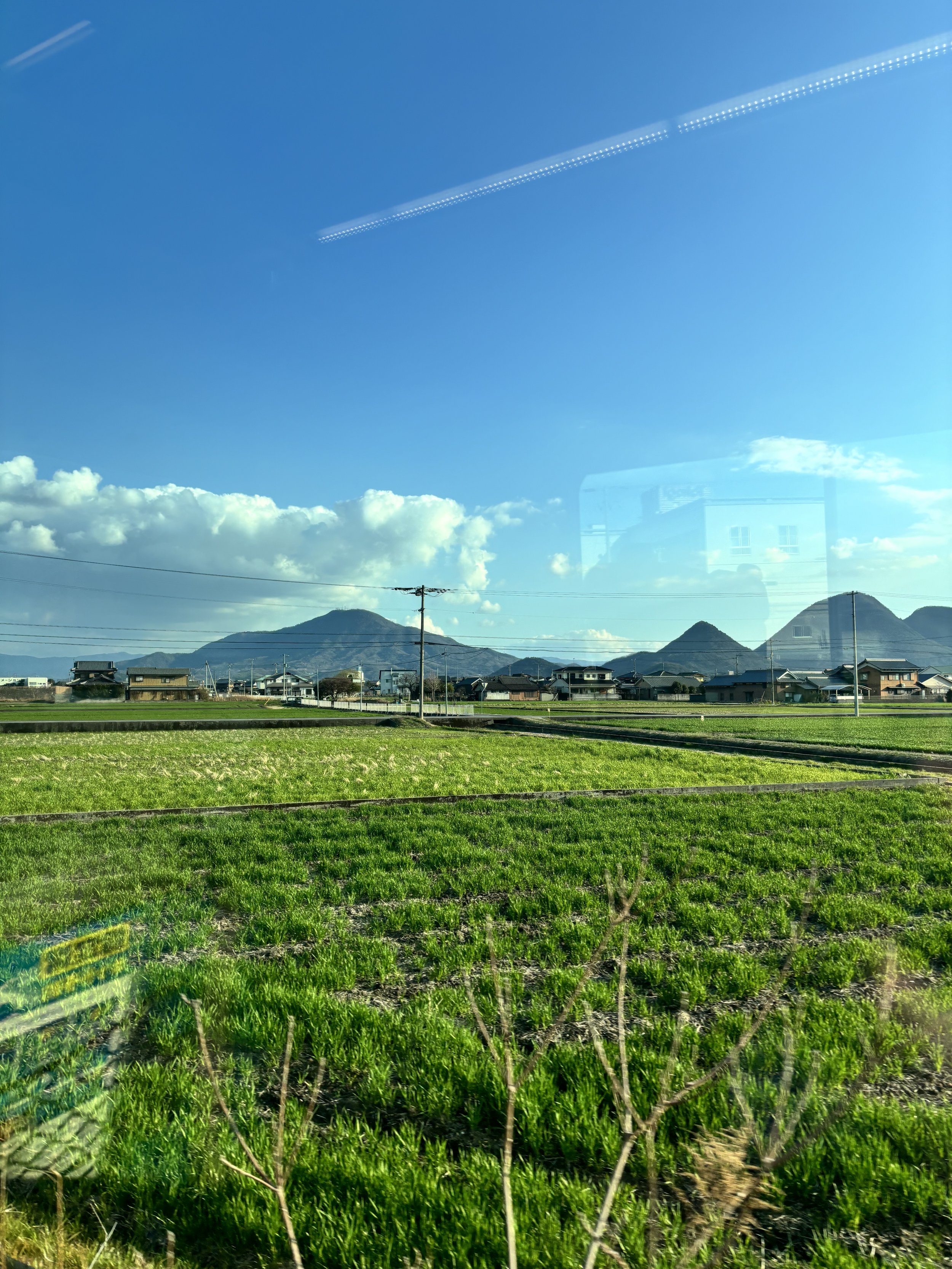 IMG_3559.jpeg