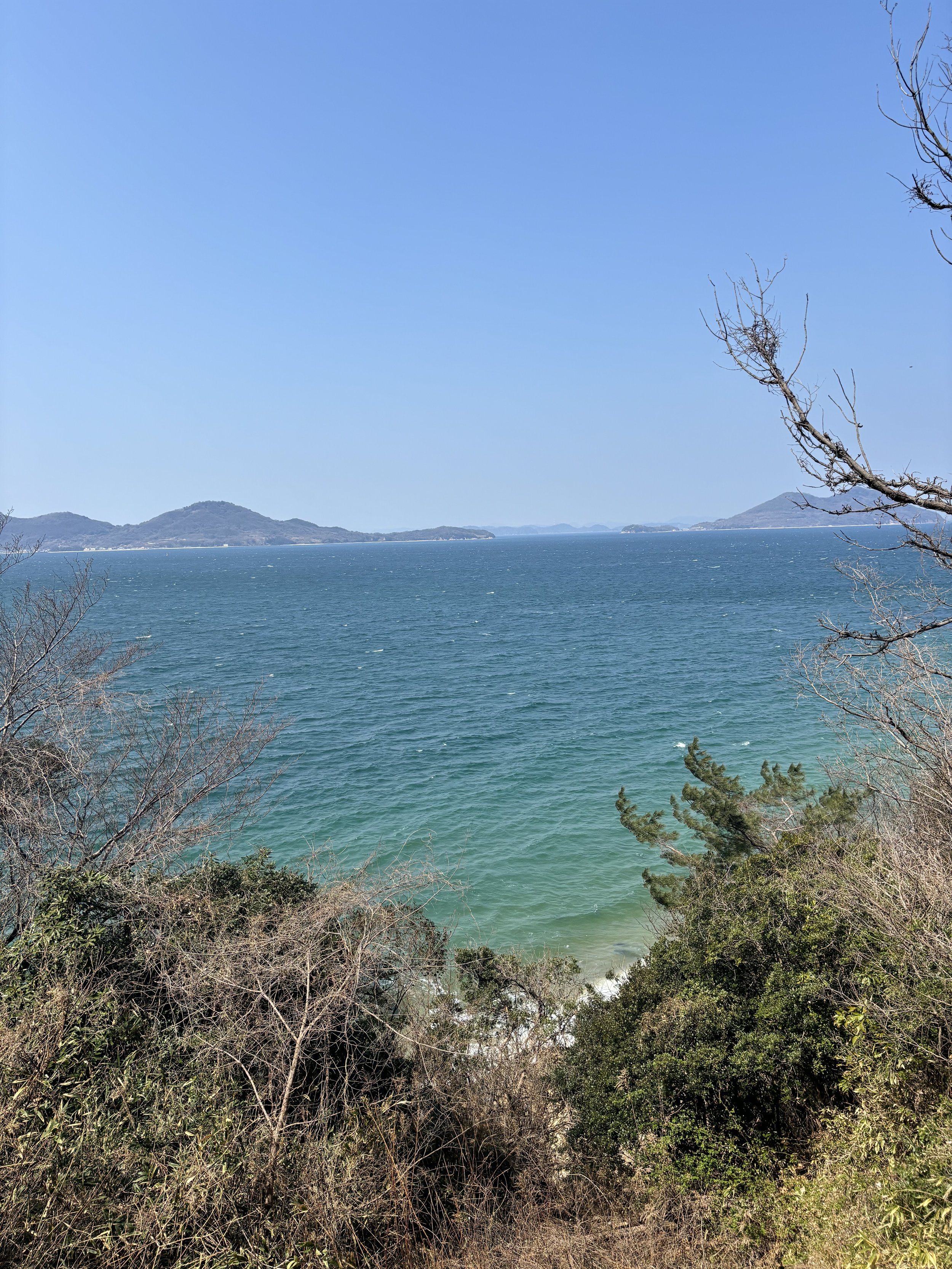 IMG_3787.jpeg