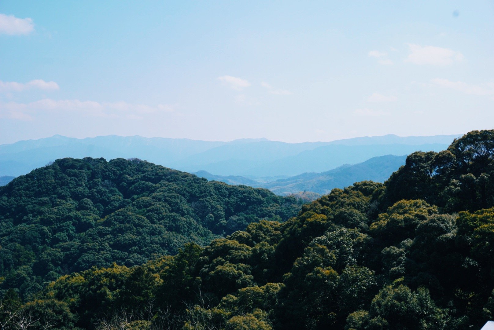 DSC05929_VSCO.jpeg