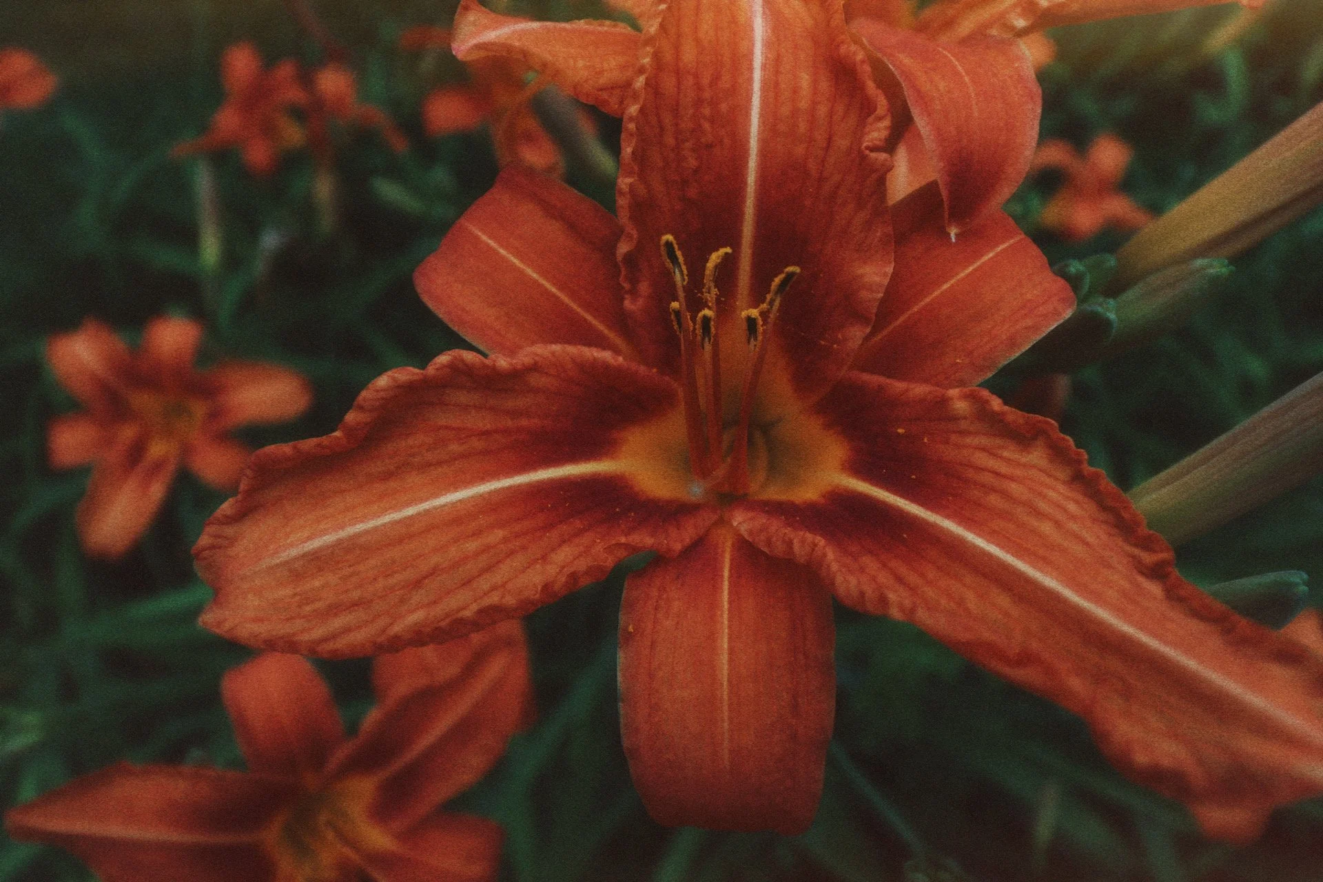 Why I make products shaped by healthcare