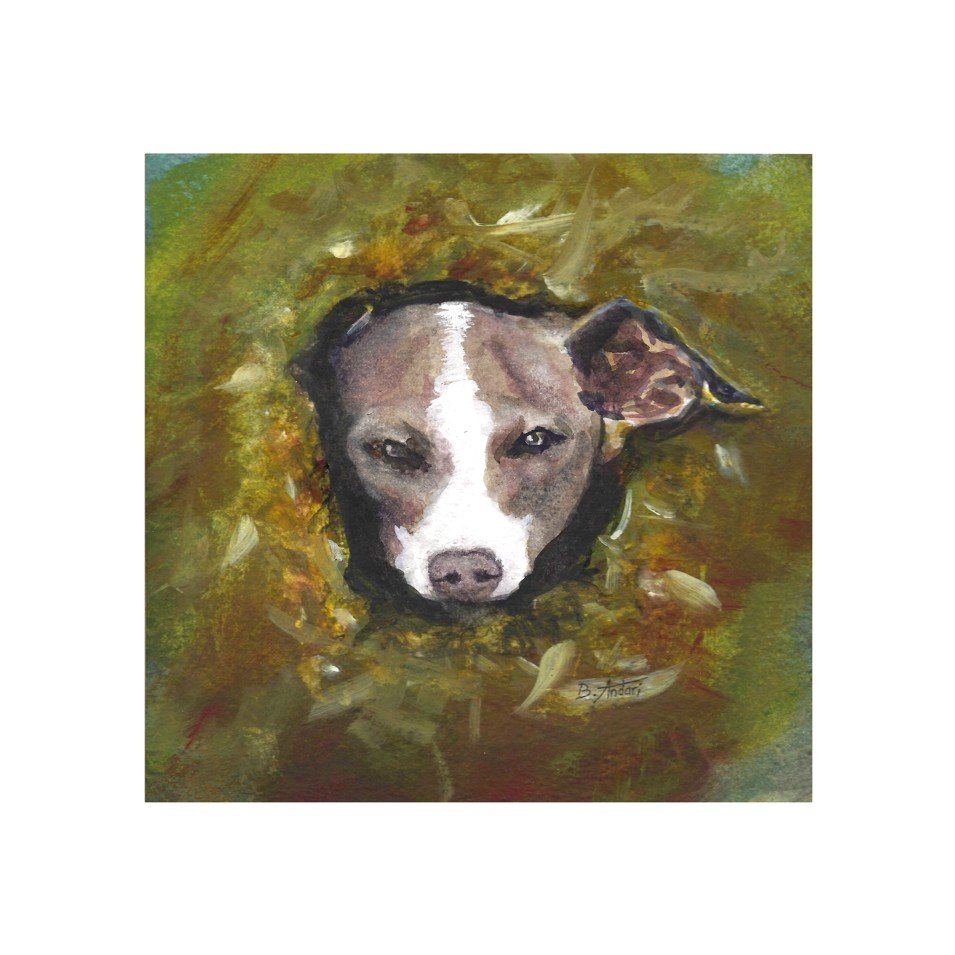 Peekaboo (giclée print)