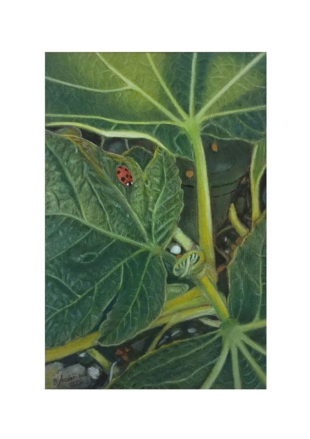 Ladybird (giclée print)