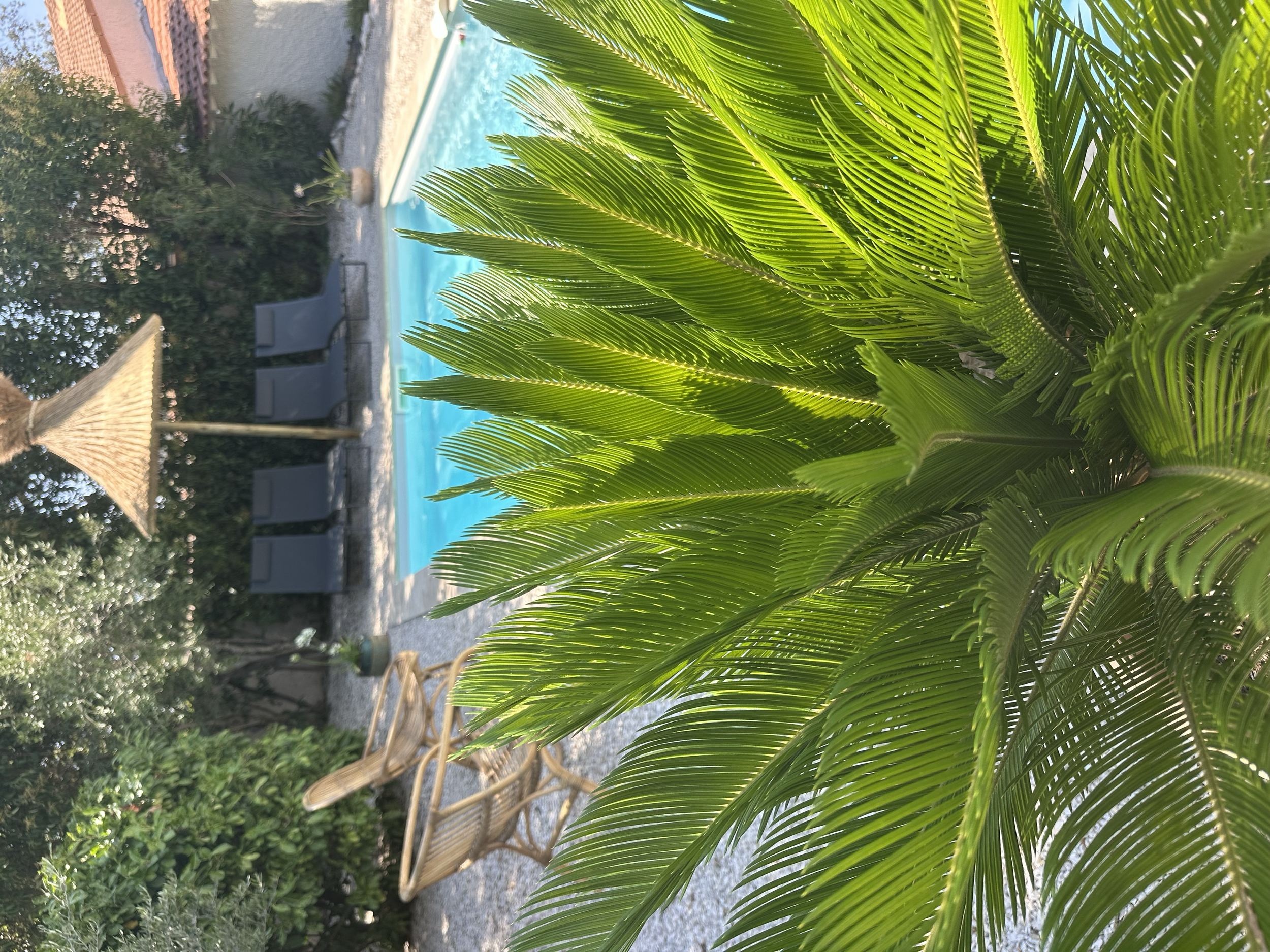 Entre végétation, soleil et eau cristalline