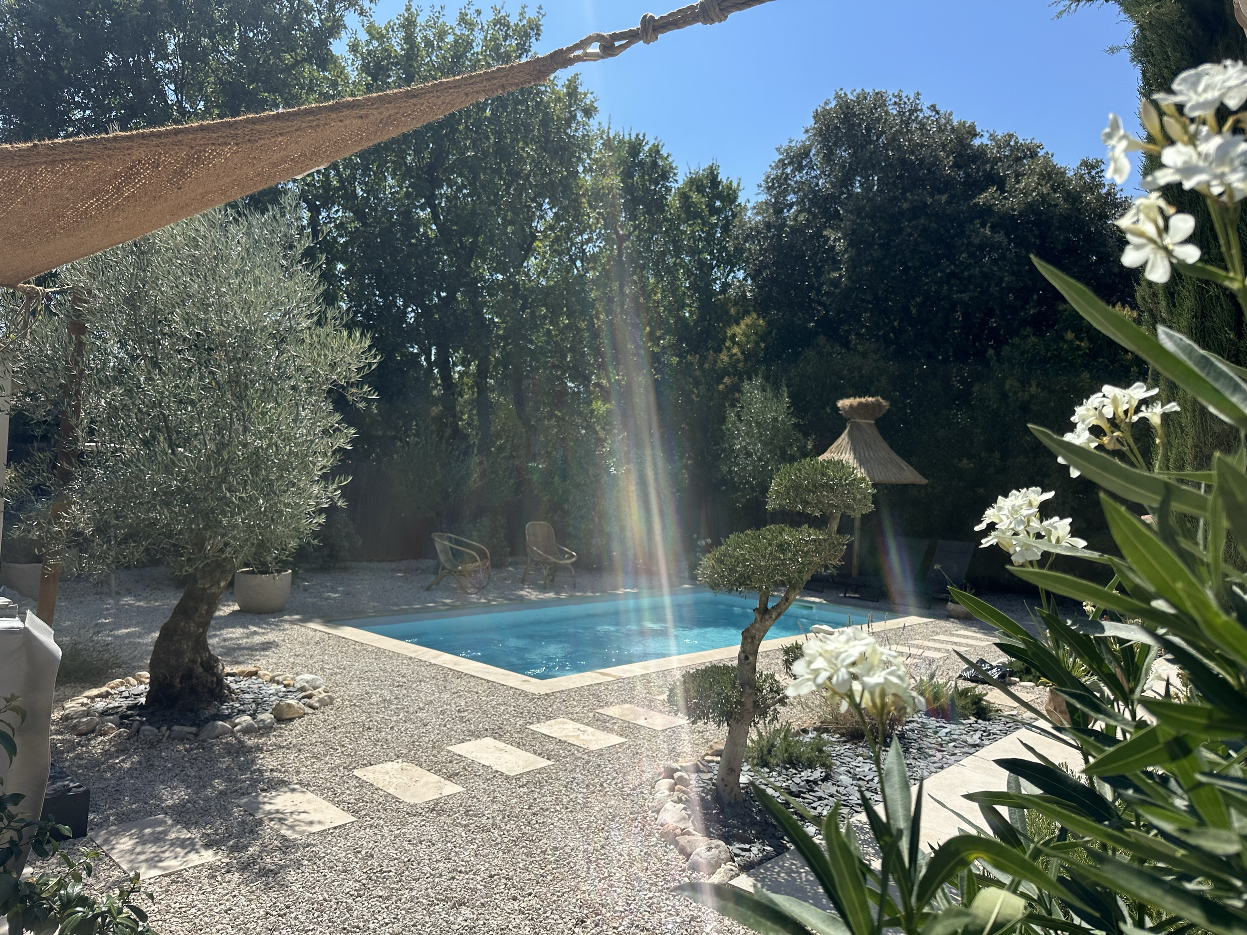 Piscine enchanteresse entourée d’oliviers dans une verdure généreuse au cœur de la garrigue