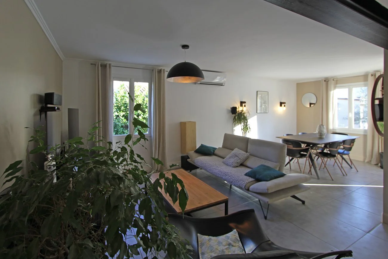 Vue sur le Salon, canapé, table a manger, home cinema et plantes d'interieurs 