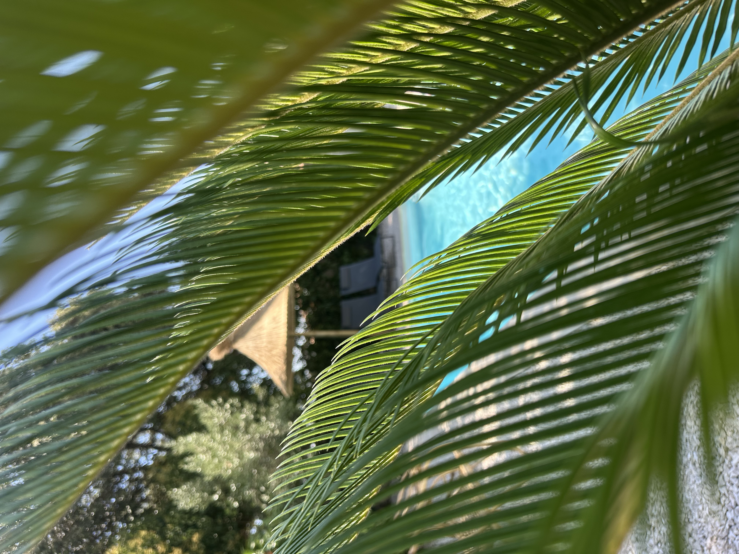 Un écrin de verdure au bord de l’eau