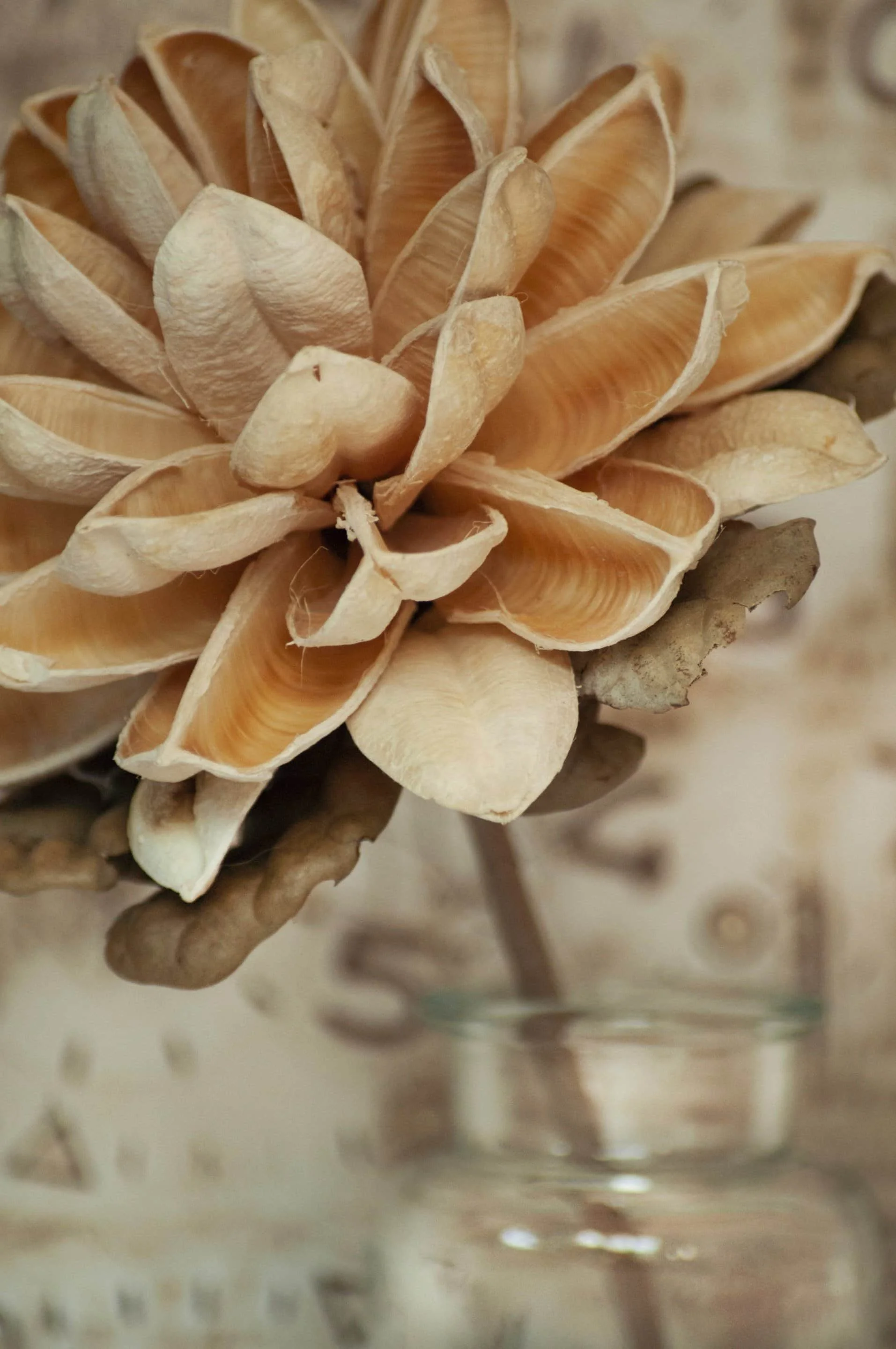Neutral-toned dried flower arrangement representing hormonal balance and holistic women’s health.