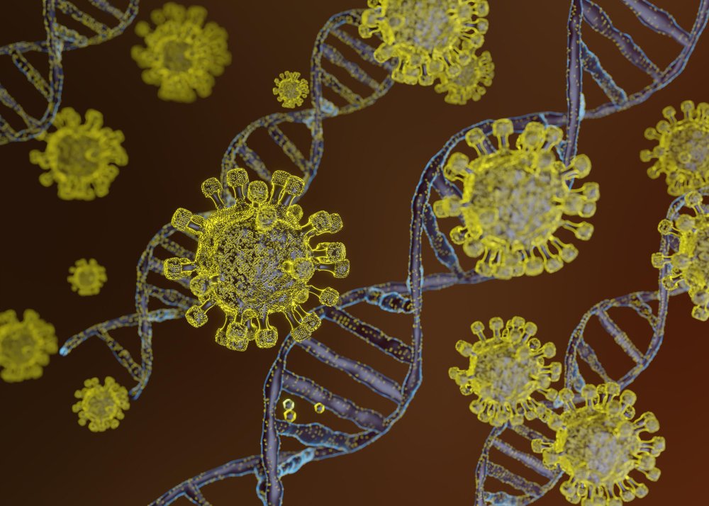 The Connection Between Hormones and Autoimmune Diseases