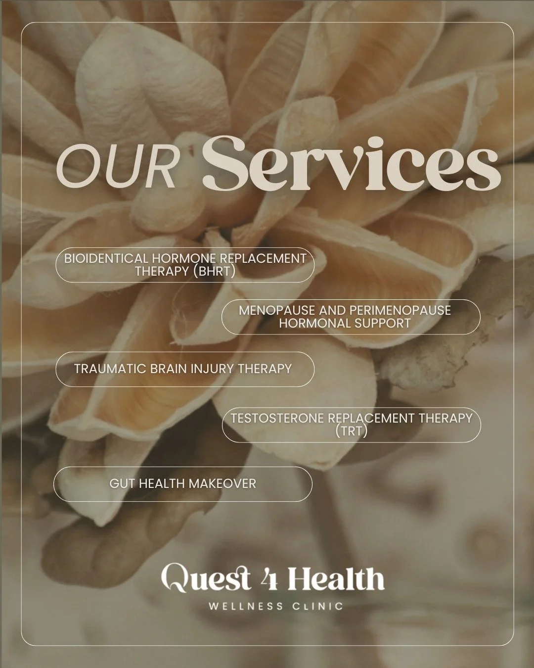 Your health deserves more than quick fixes, it deserves personalized care.

At @Quest4HealthClinic, we support your whole body with services including:

&bull; BHRT &amp; Hormone Optimization
&bull; Menopause &amp; Perimenopause Support
&bull; Testos