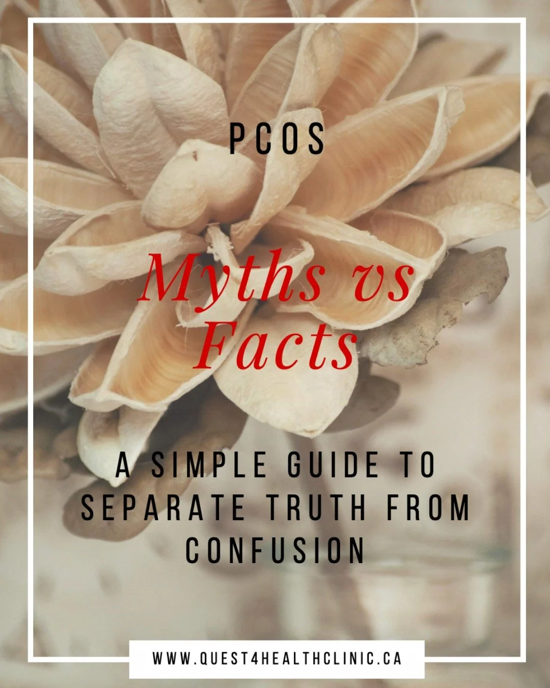 PCOS: Myths vs. Facts

There&rsquo;s a lot of confusion around Polycystic Ovary Syndrome...and clarity matters.

Download our free guide on the Quest 4 Health website to separate myth from evidence and better understand your body.

Knowledge is power