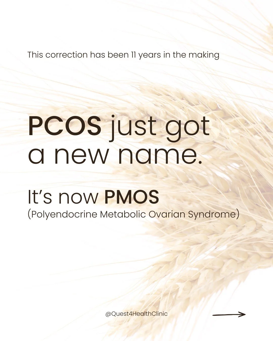PCOS will now be referred to as PMOS, and that matters.

Why? Because the old name often centered ovaries, even though many patients don&rsquo;t have ovarian cysts at all.

It also overlooked the bigger picture:
Hormones
Insulin resistance
Metabolic 