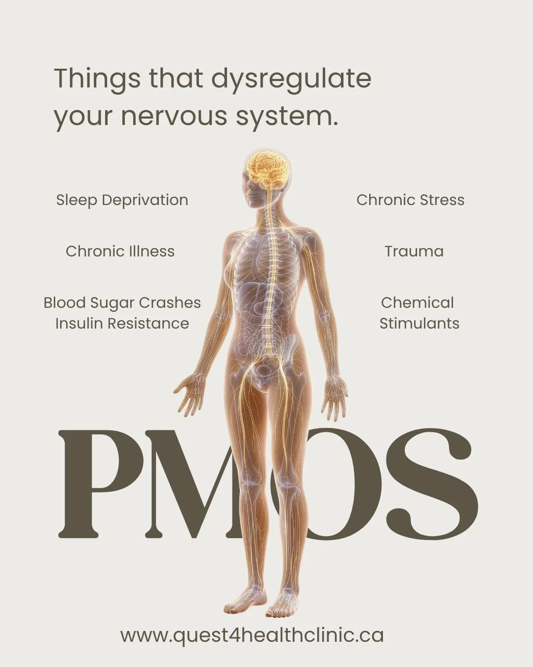 YOU DON&rsquo;T HAVE TO &ldquo;JUST LIVE WITH&rdquo; PMOS

PMOS is not simply an ovarian issue. 

It is a complex neuro-endocrine-metabolic condition, that can affect your cycle, skin, hair, weight, energy, mood, insulin balance, and long-term health