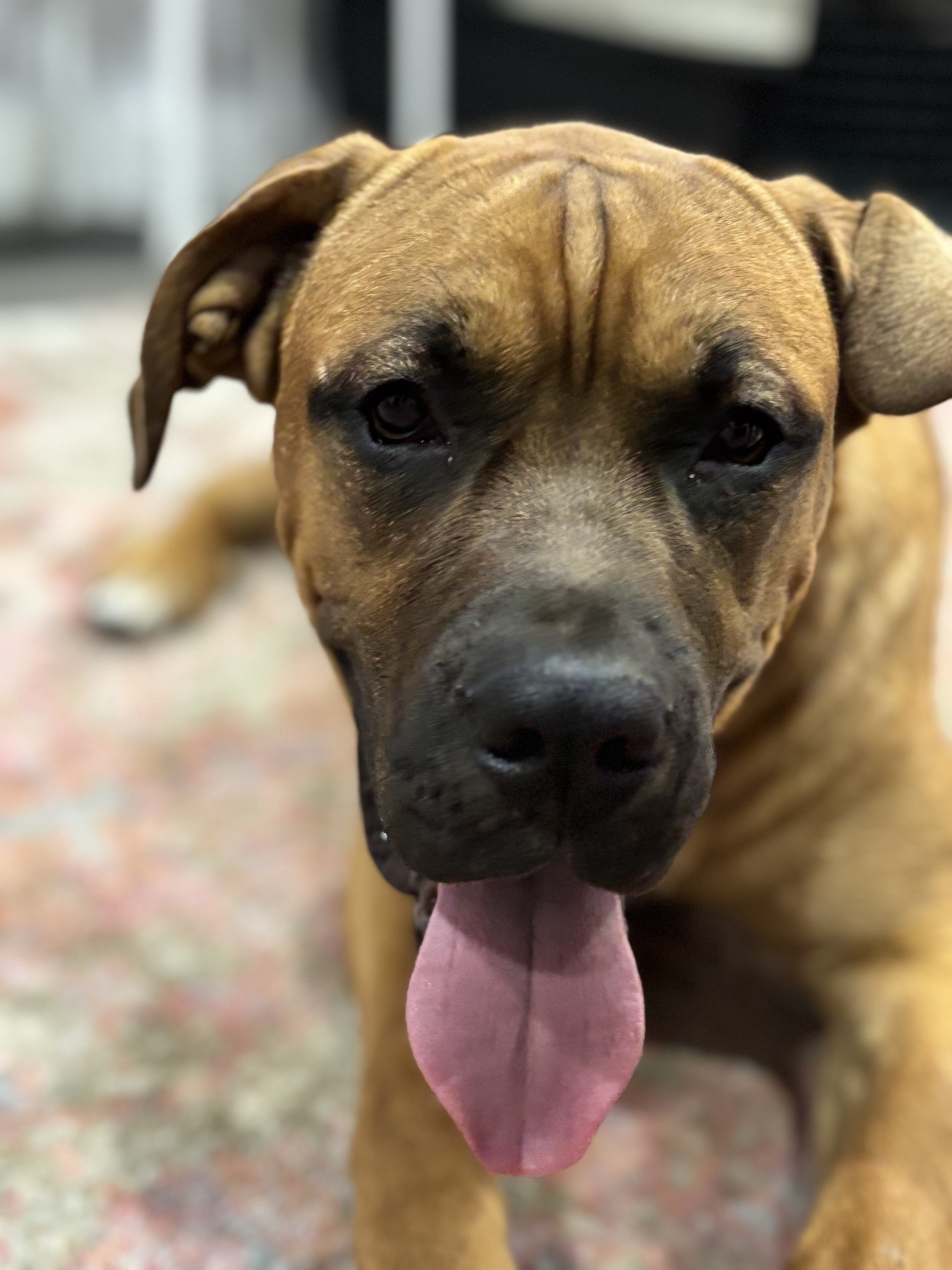 Odin - Mixed