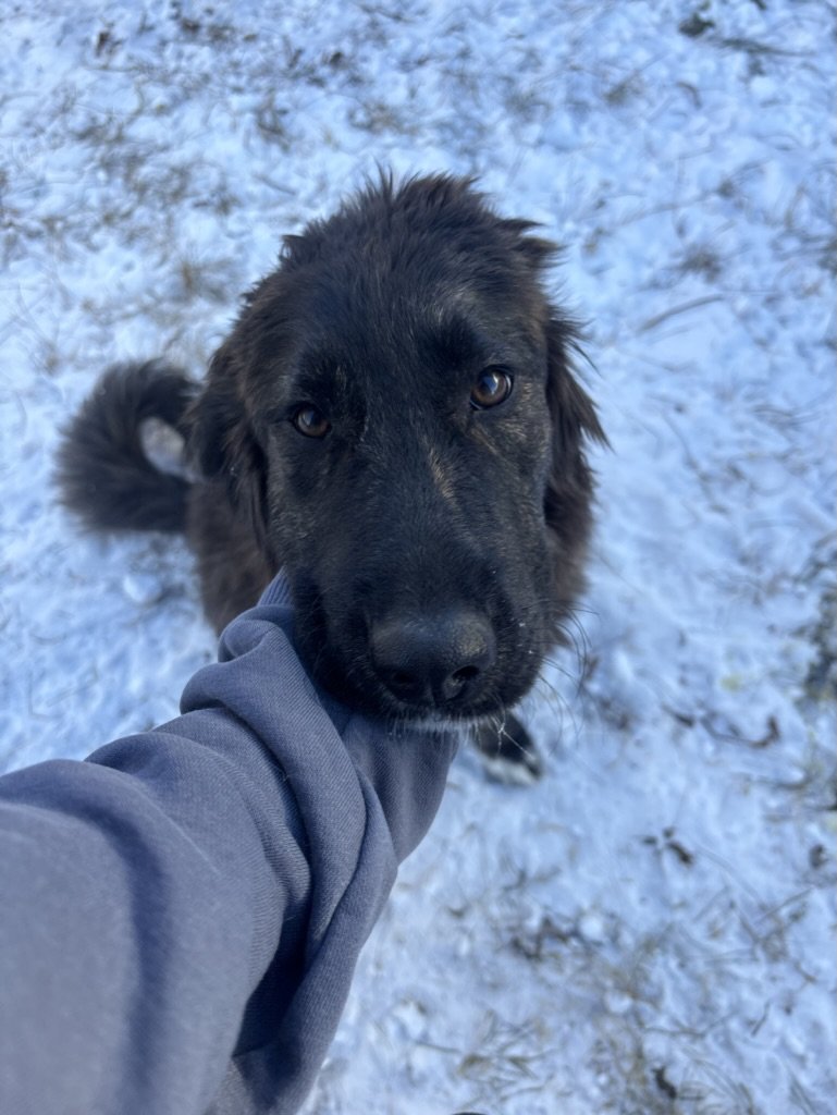 Nora - Mixed