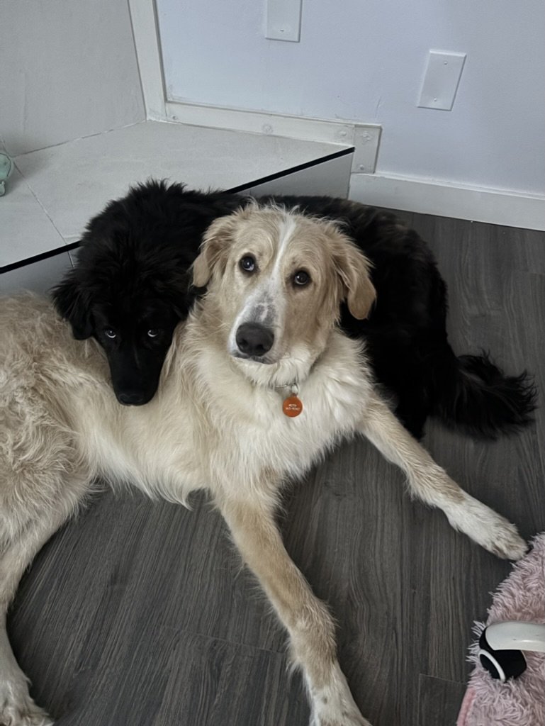 Nora & Wesley