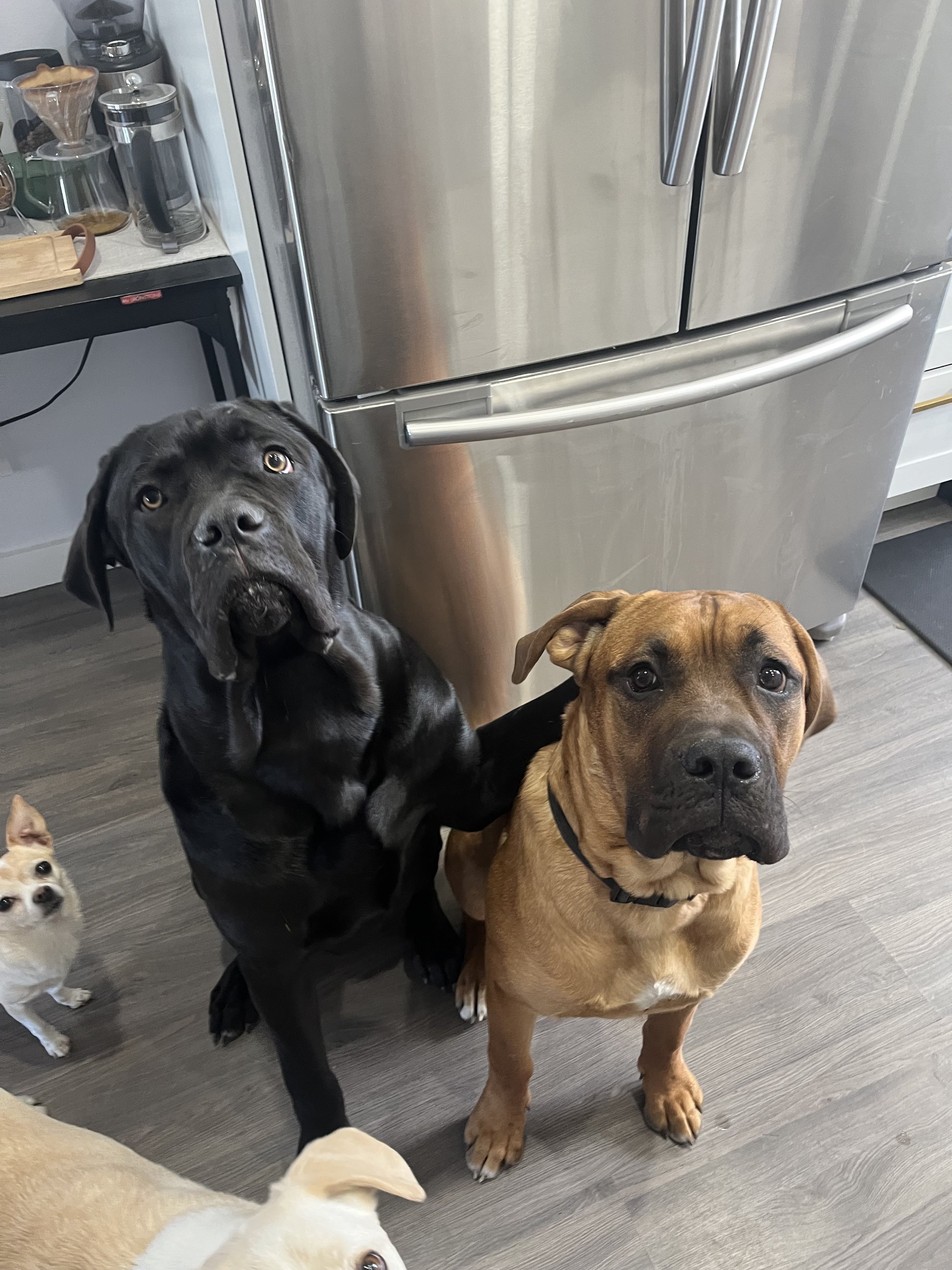 Thor & Odin