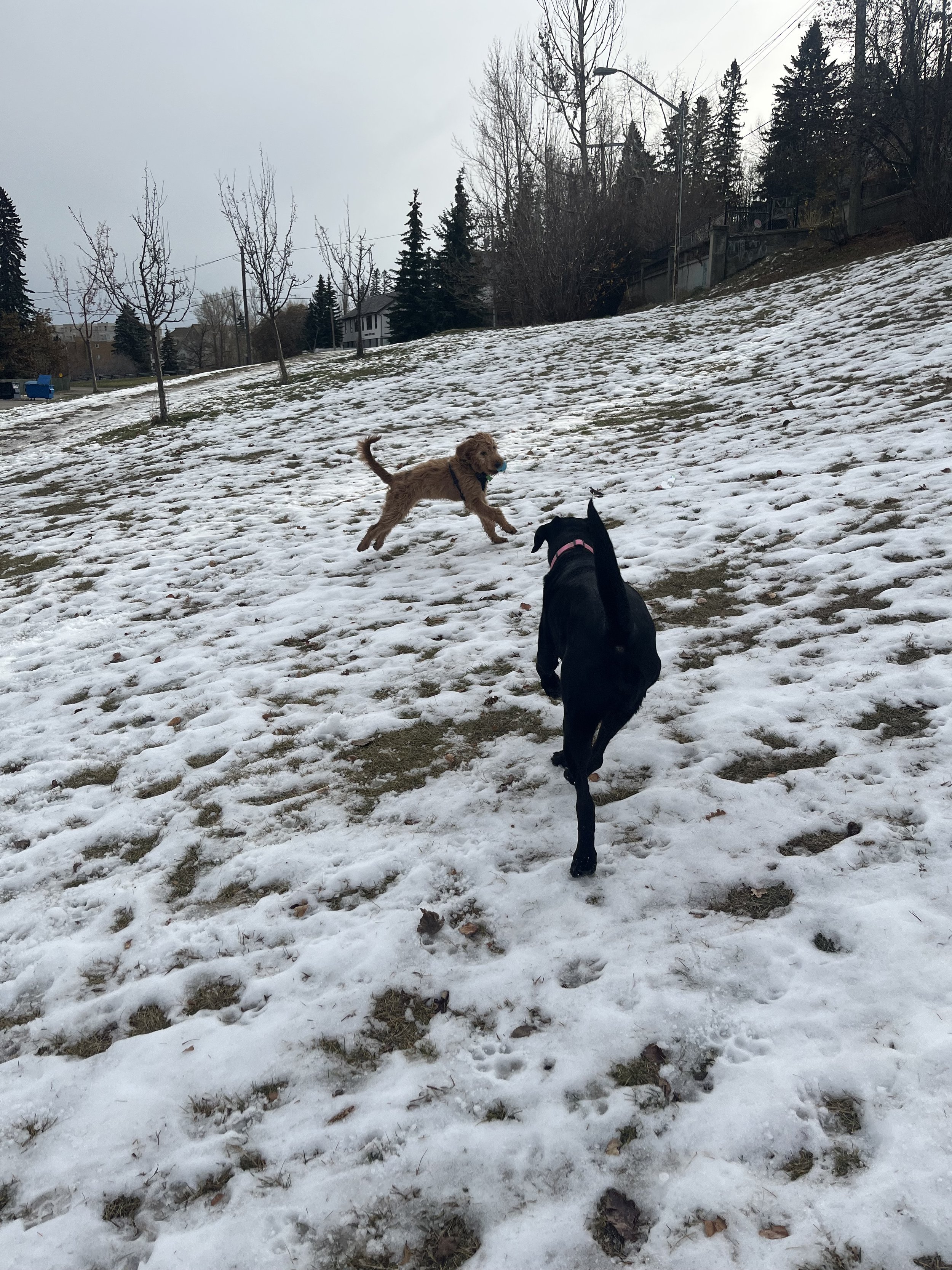Madi & Ozzy