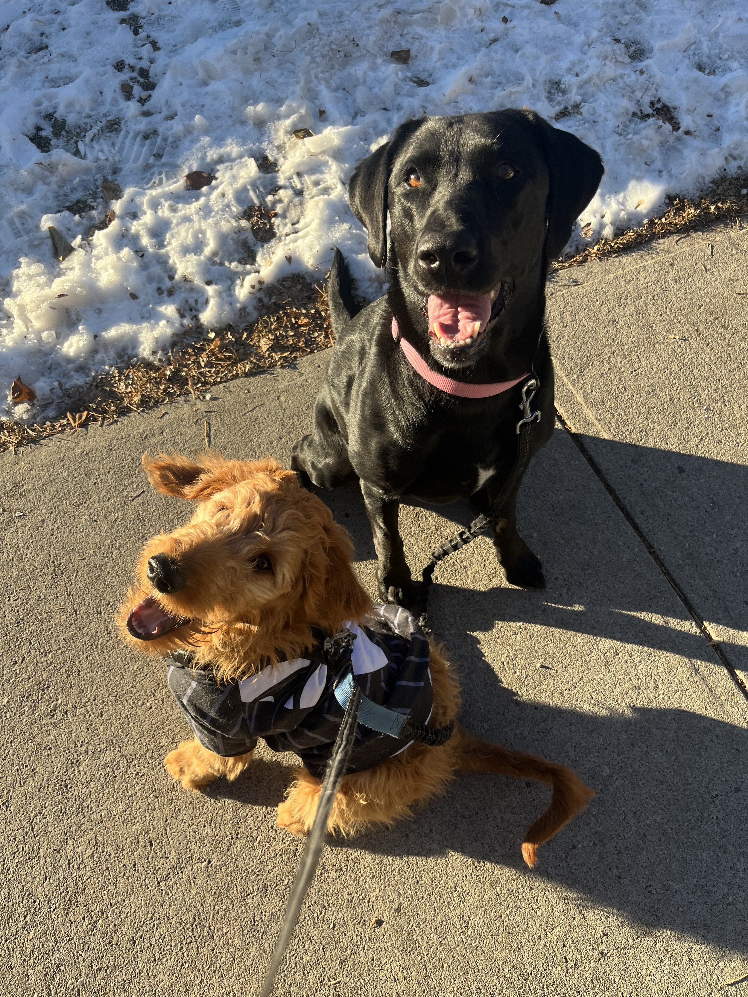 Ozzy & Madi