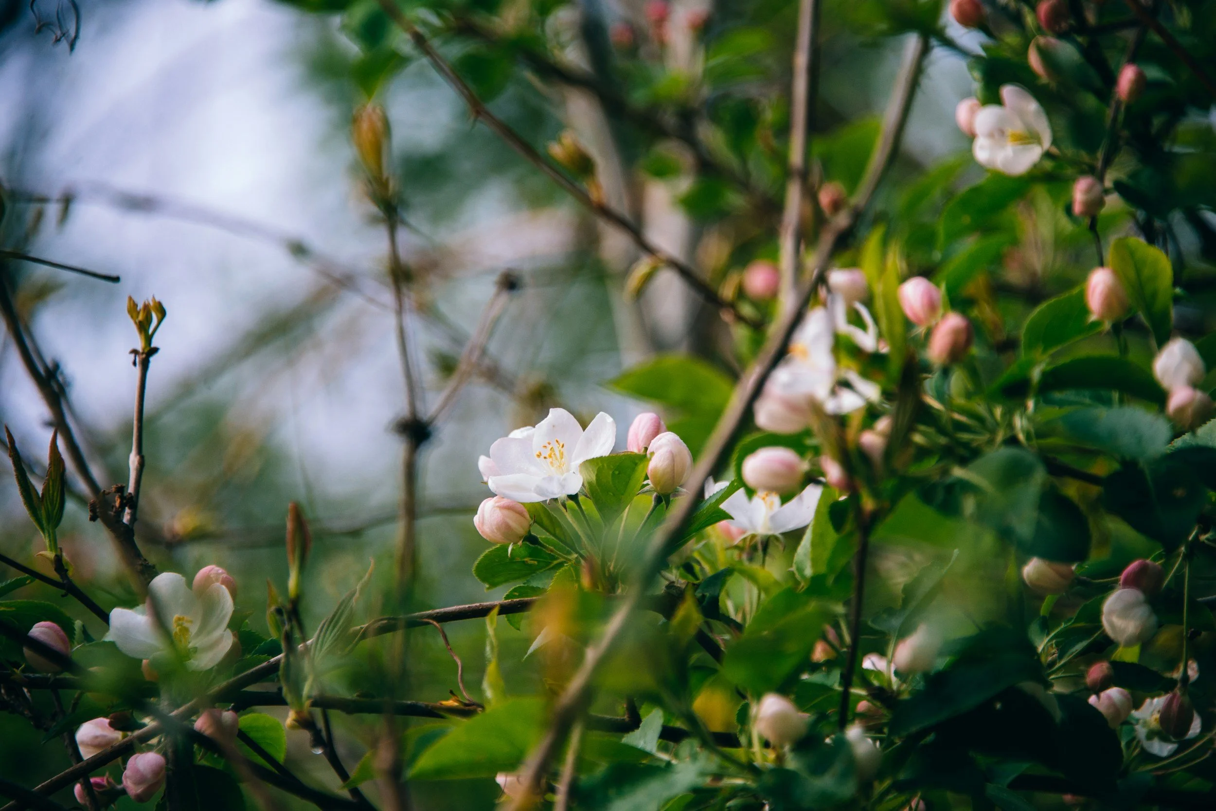 Postpartum Anxiety: What It Is, What It Feels Like, and How to Get Help.