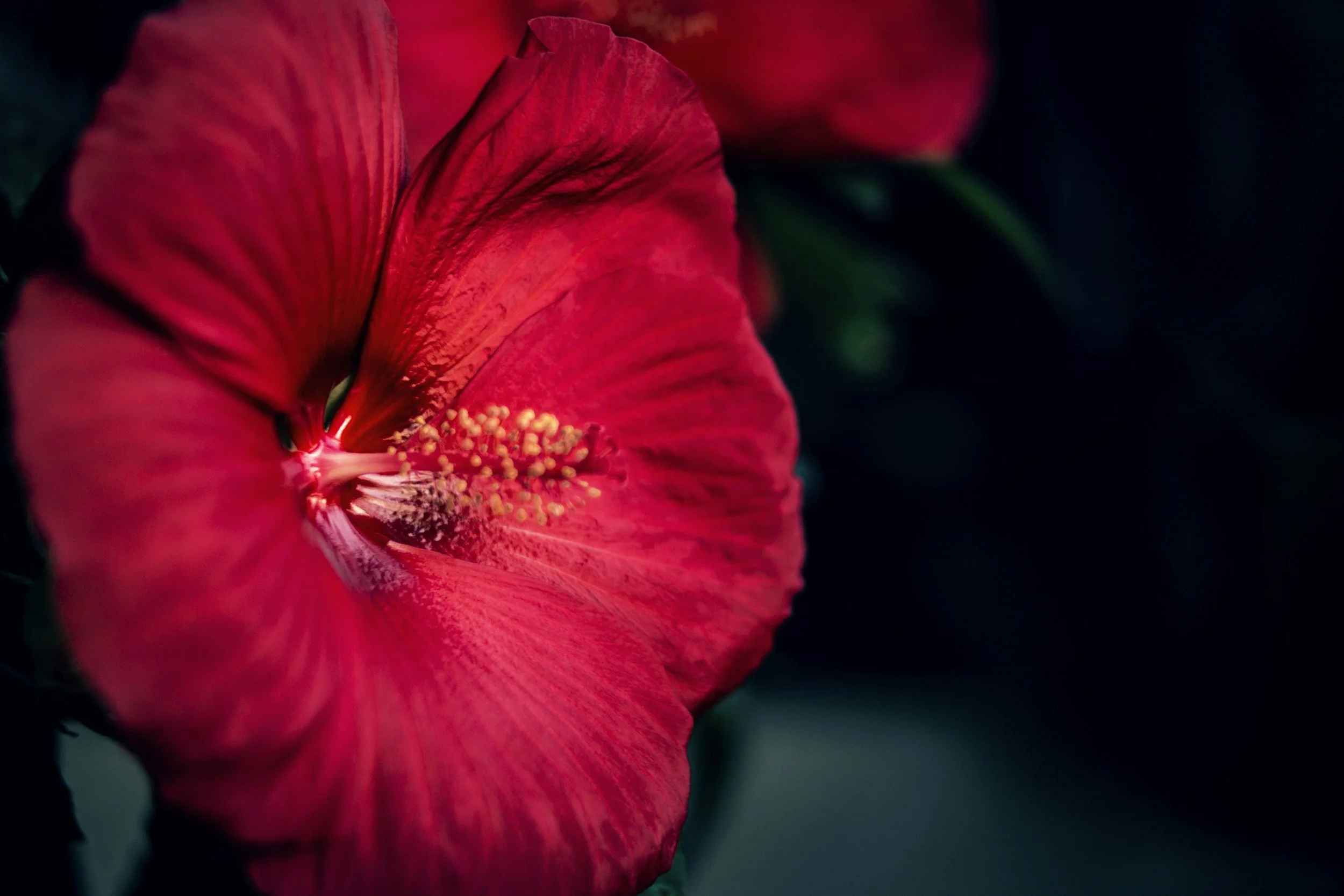 Why Your Symptoms Get Worse Before Your Period: Understanding Premenstrual Exacerbation.