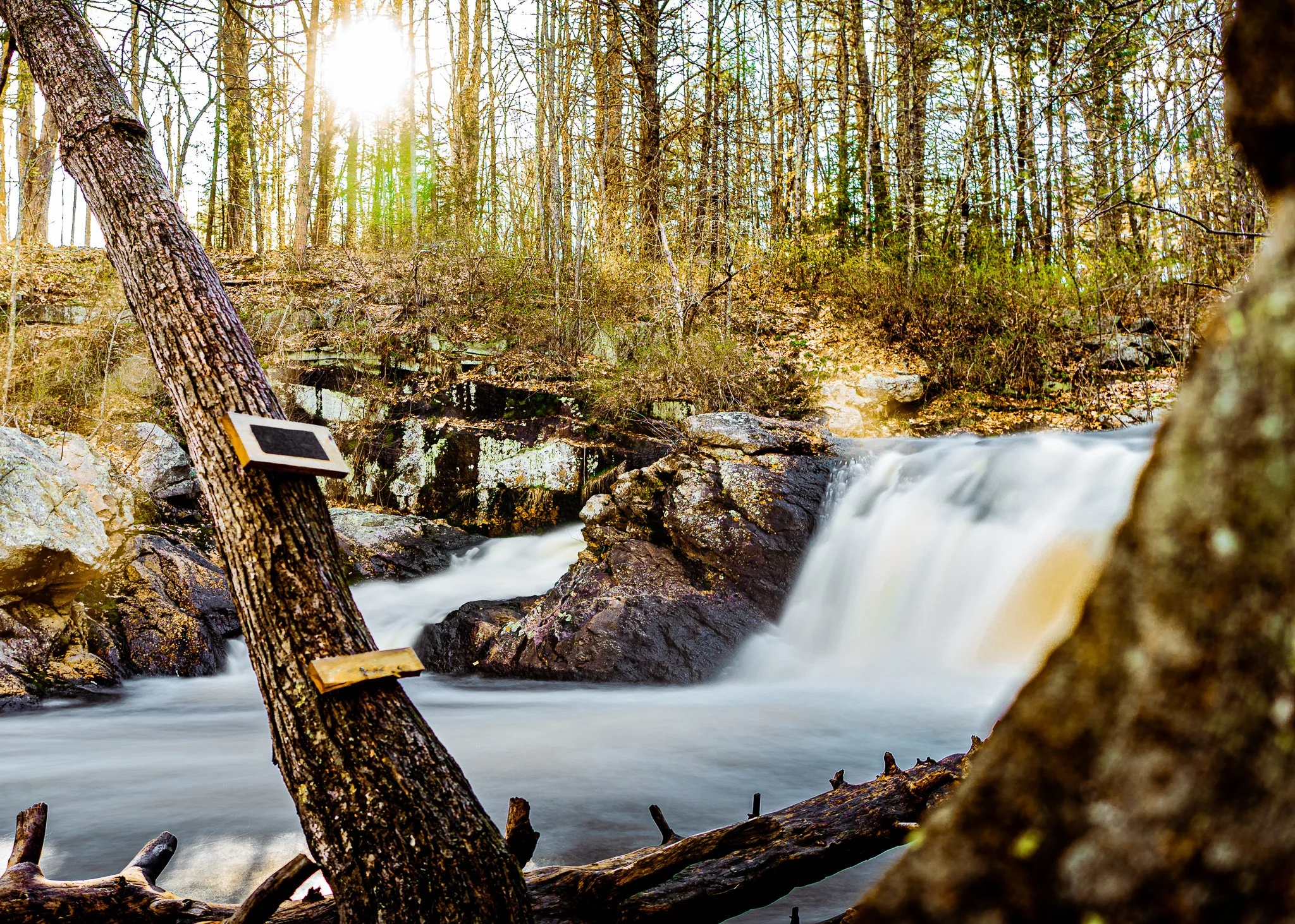 _DSC0978.jpg