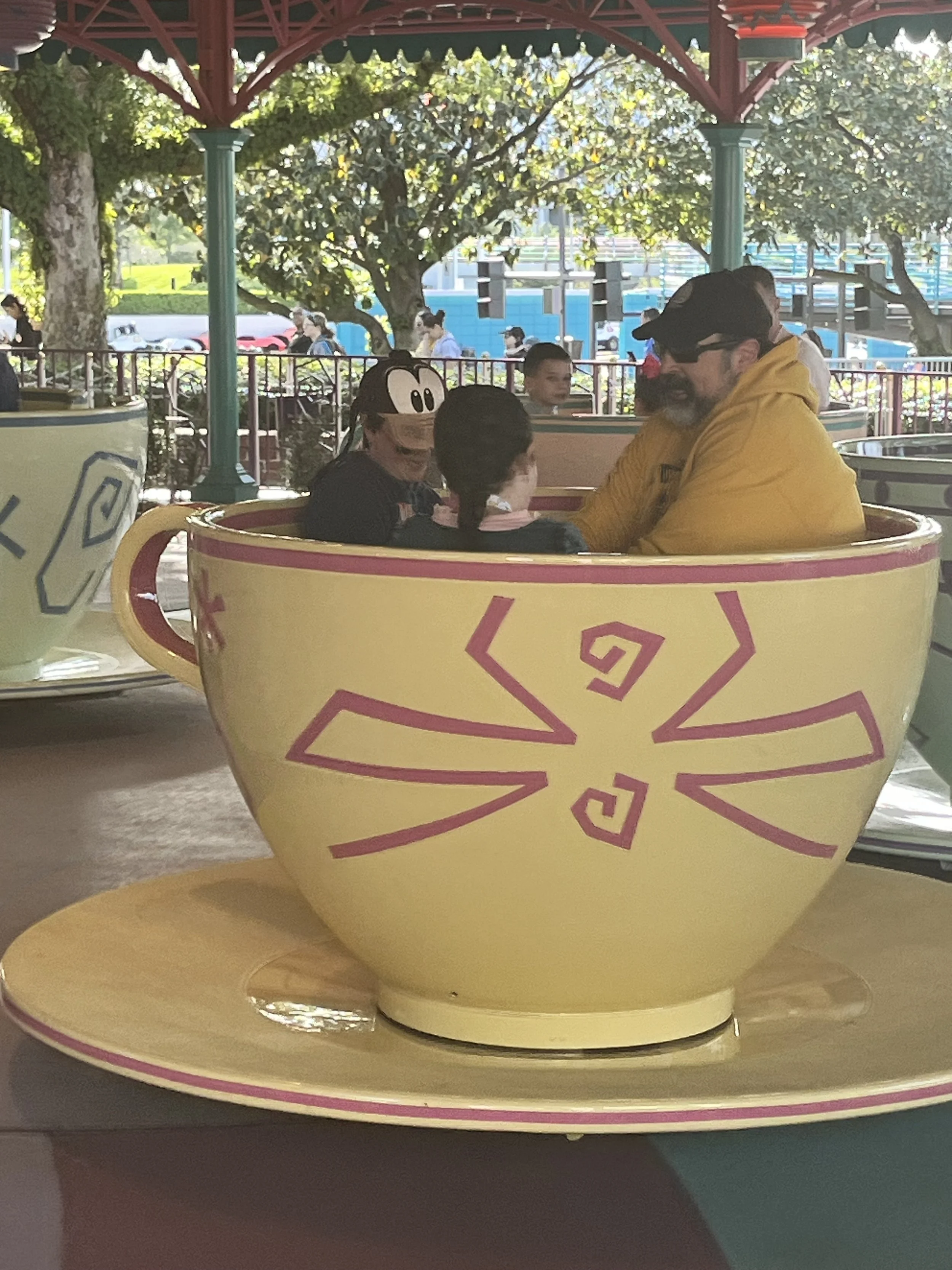 IMG_8807.jpeg