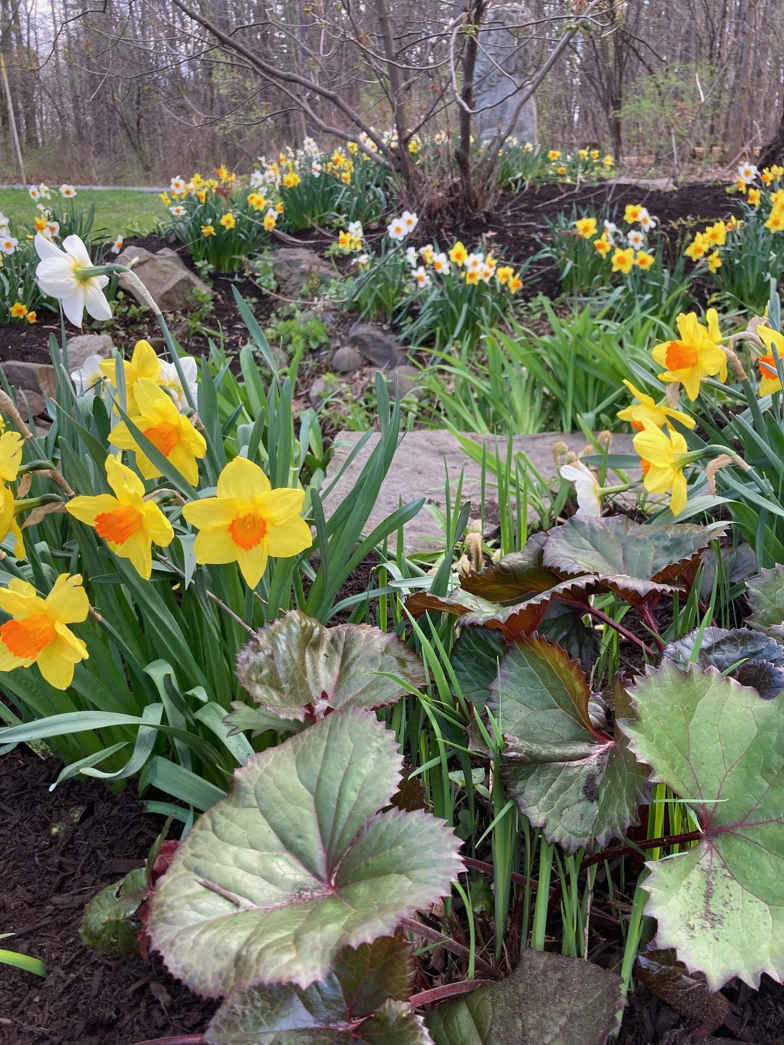 Update Website - 34 of 107.jpeg