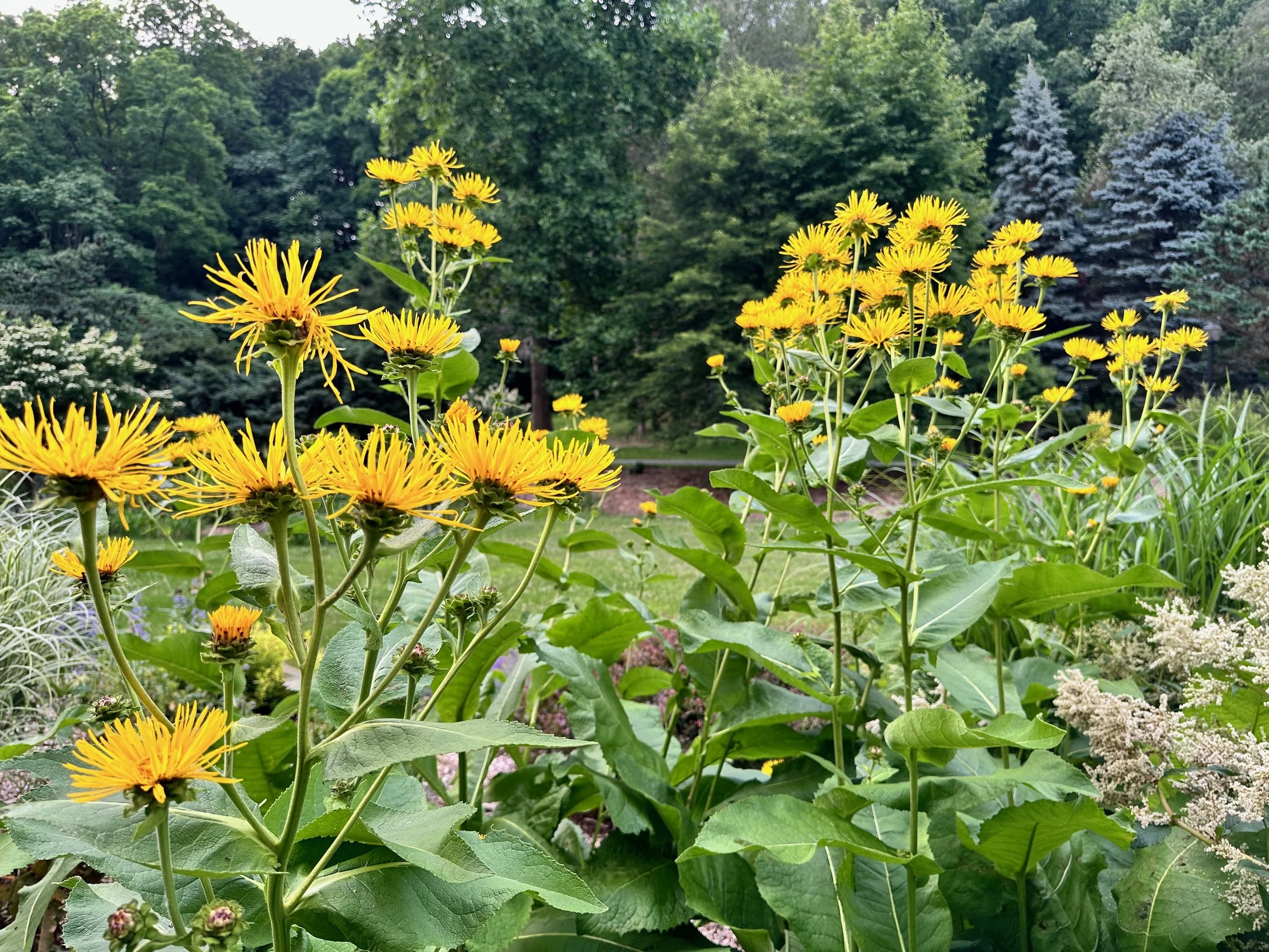 Update Website - 88 of 107.jpeg