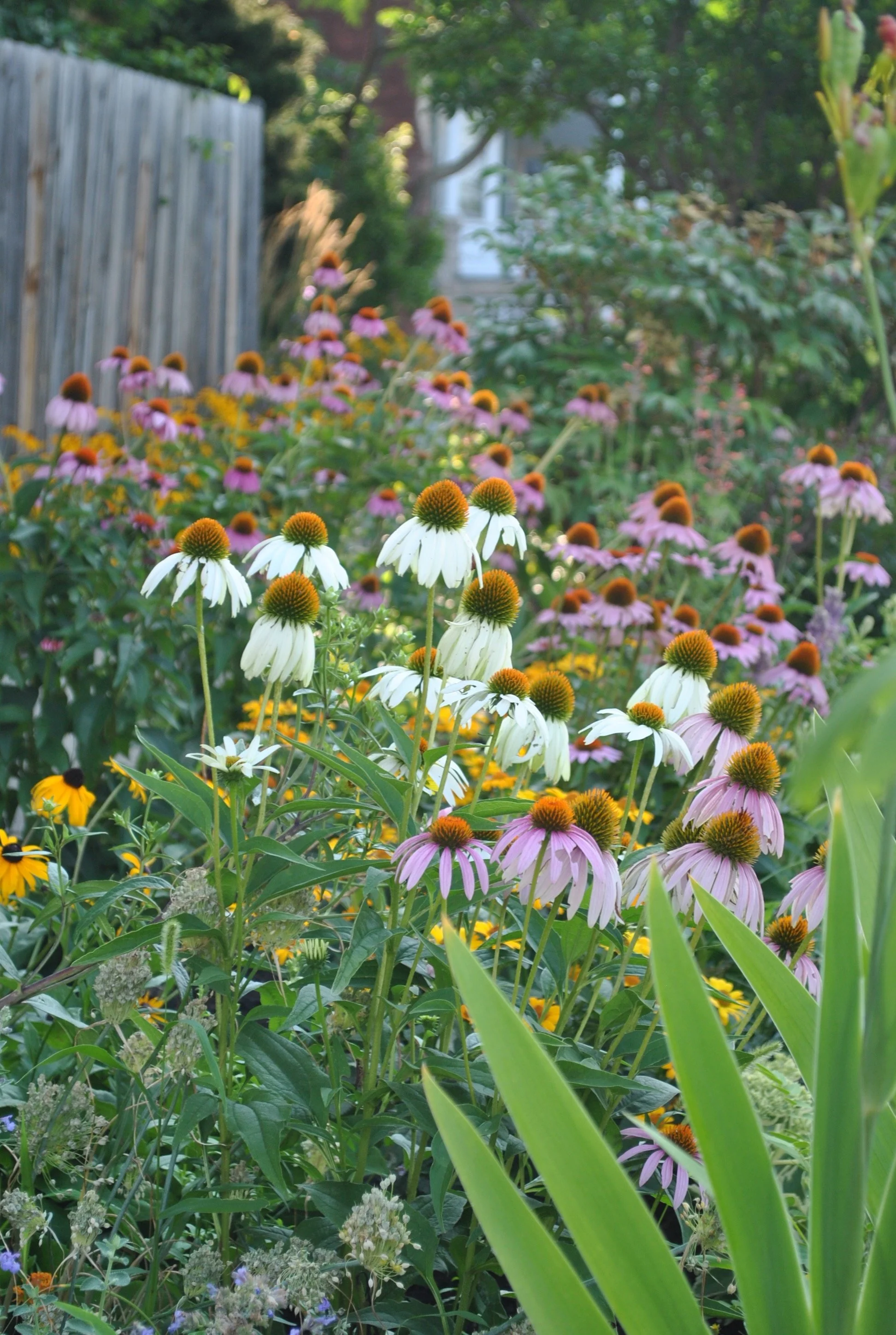 Habitat - 46 of 90.jpeg