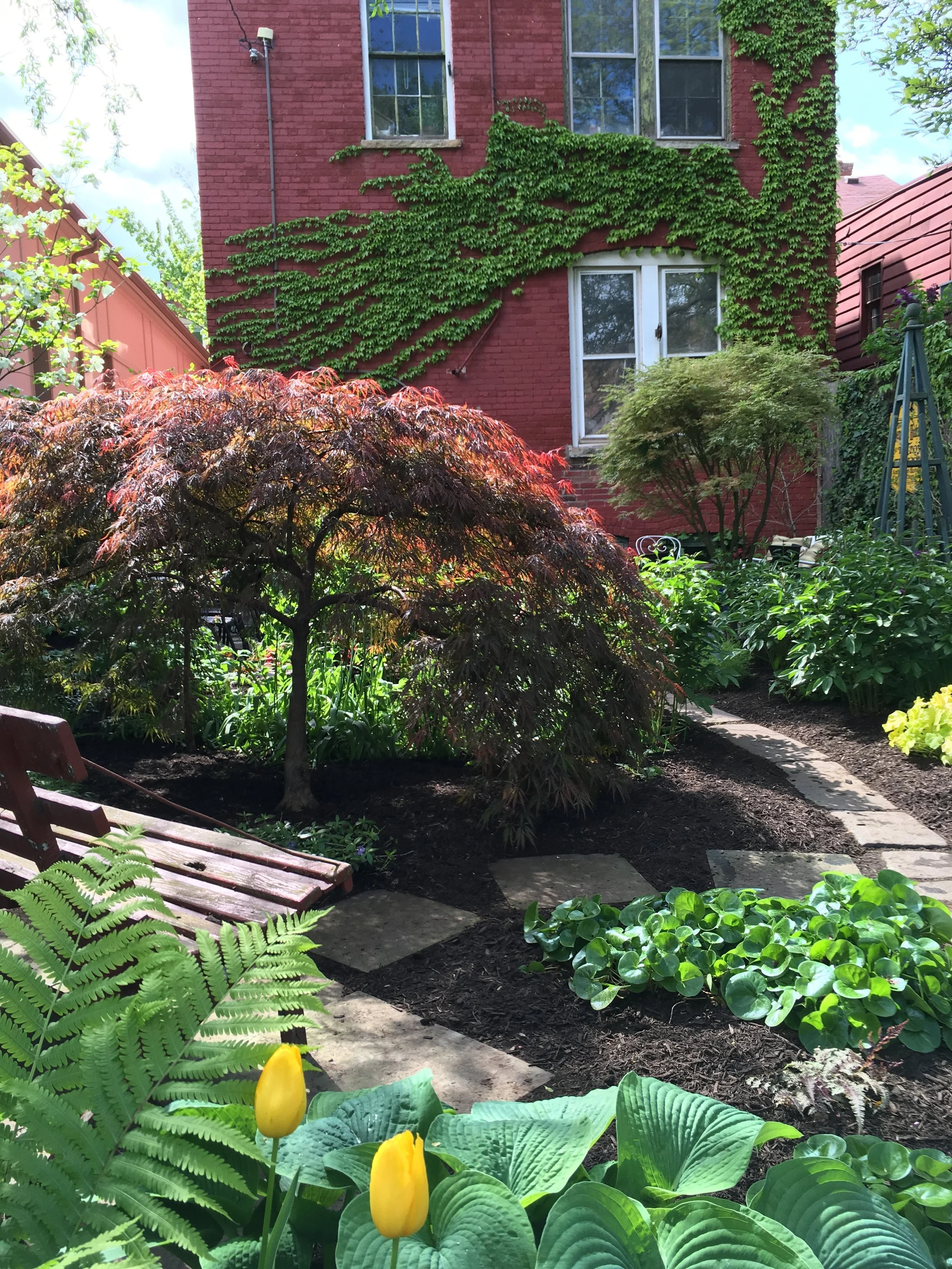 Habitat - 57 of 90.jpeg