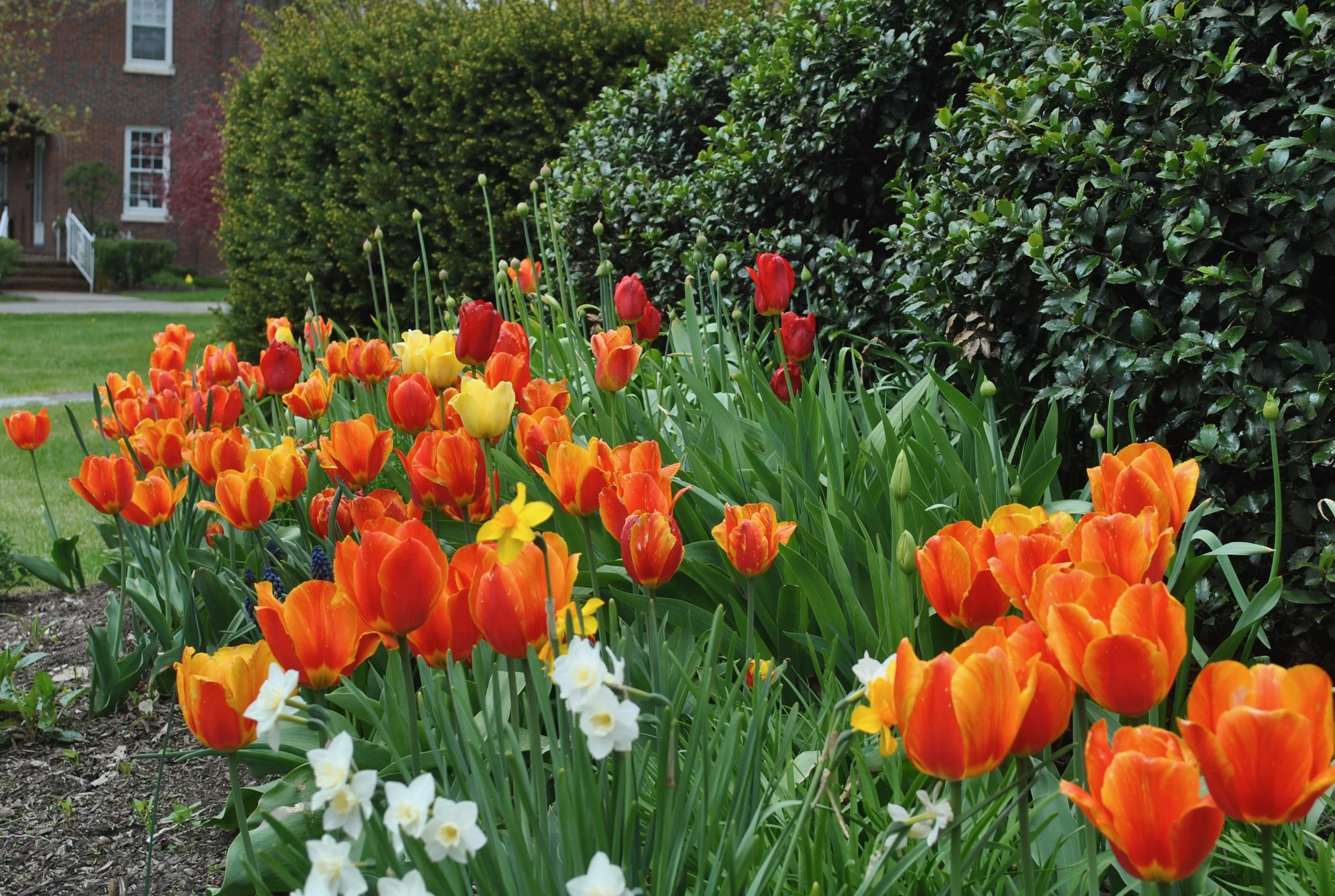 Habitat - 59 of 90.jpeg