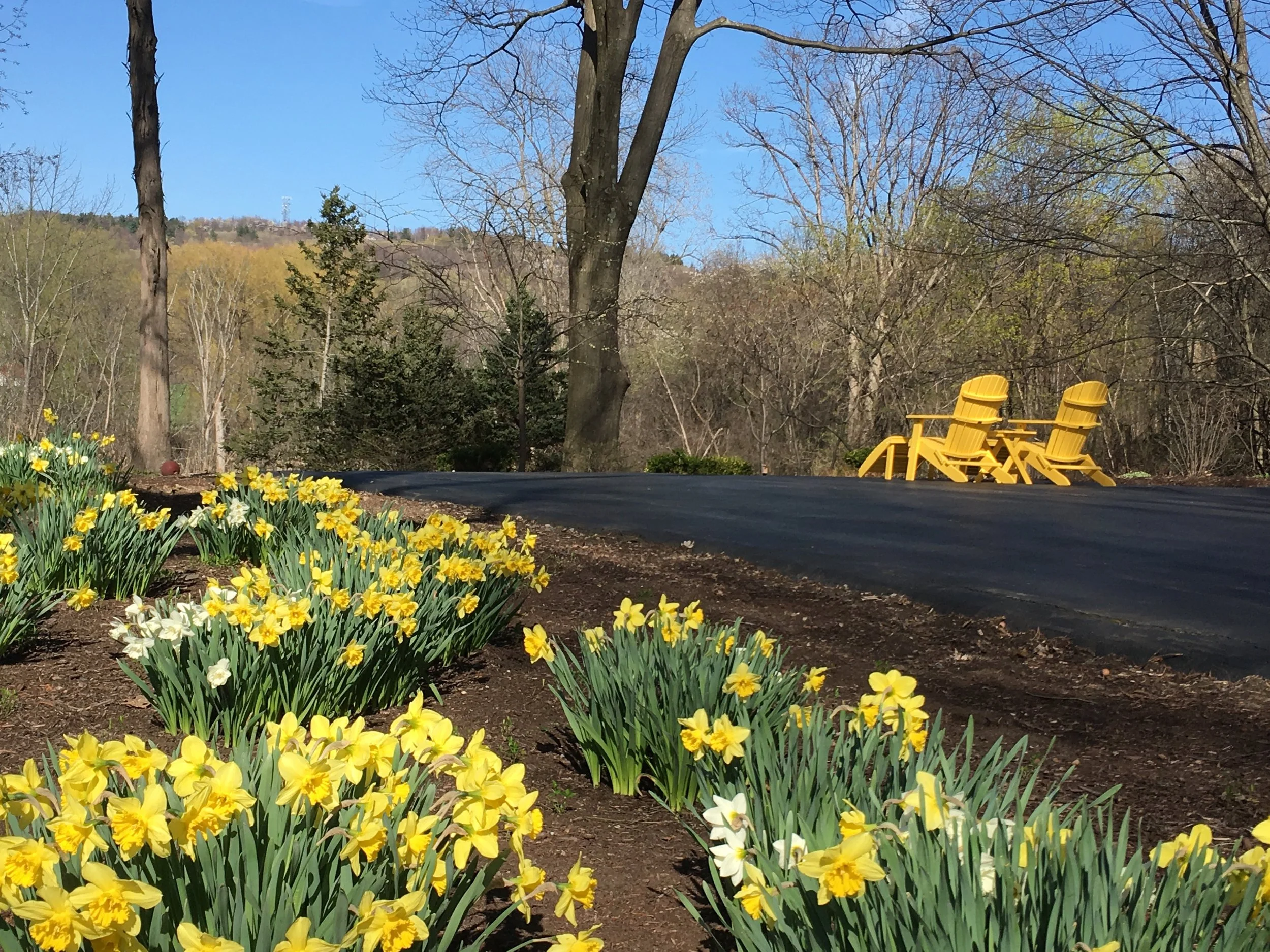 Habitat - 31 of 90.jpeg