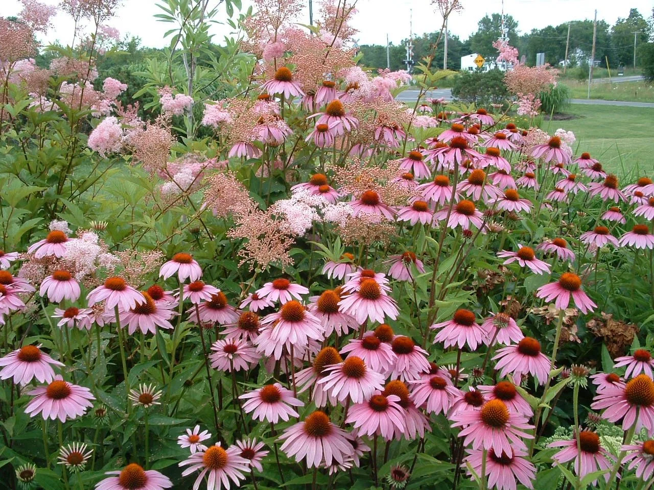 Update Website - 3 of 107.jpeg