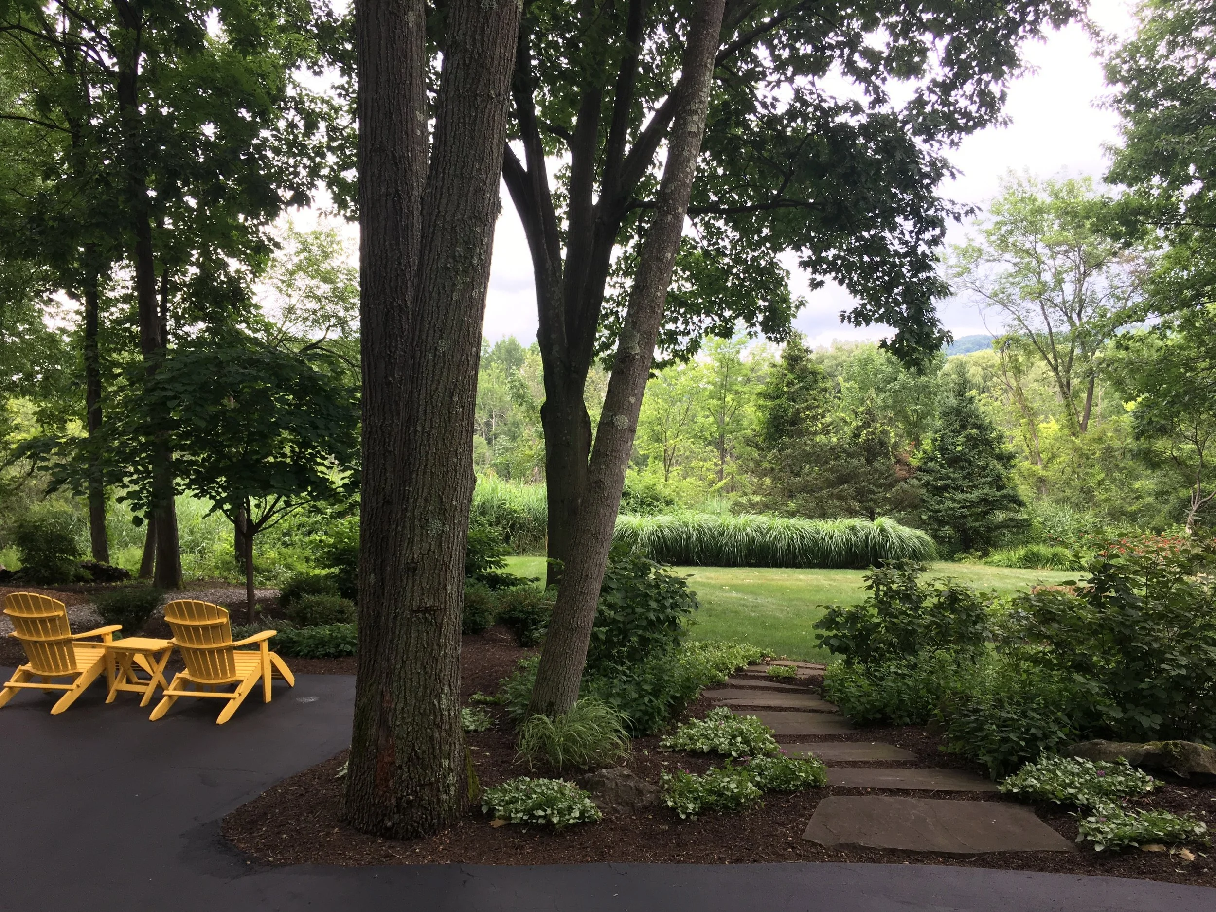 Habitat - 32 of 90.jpeg