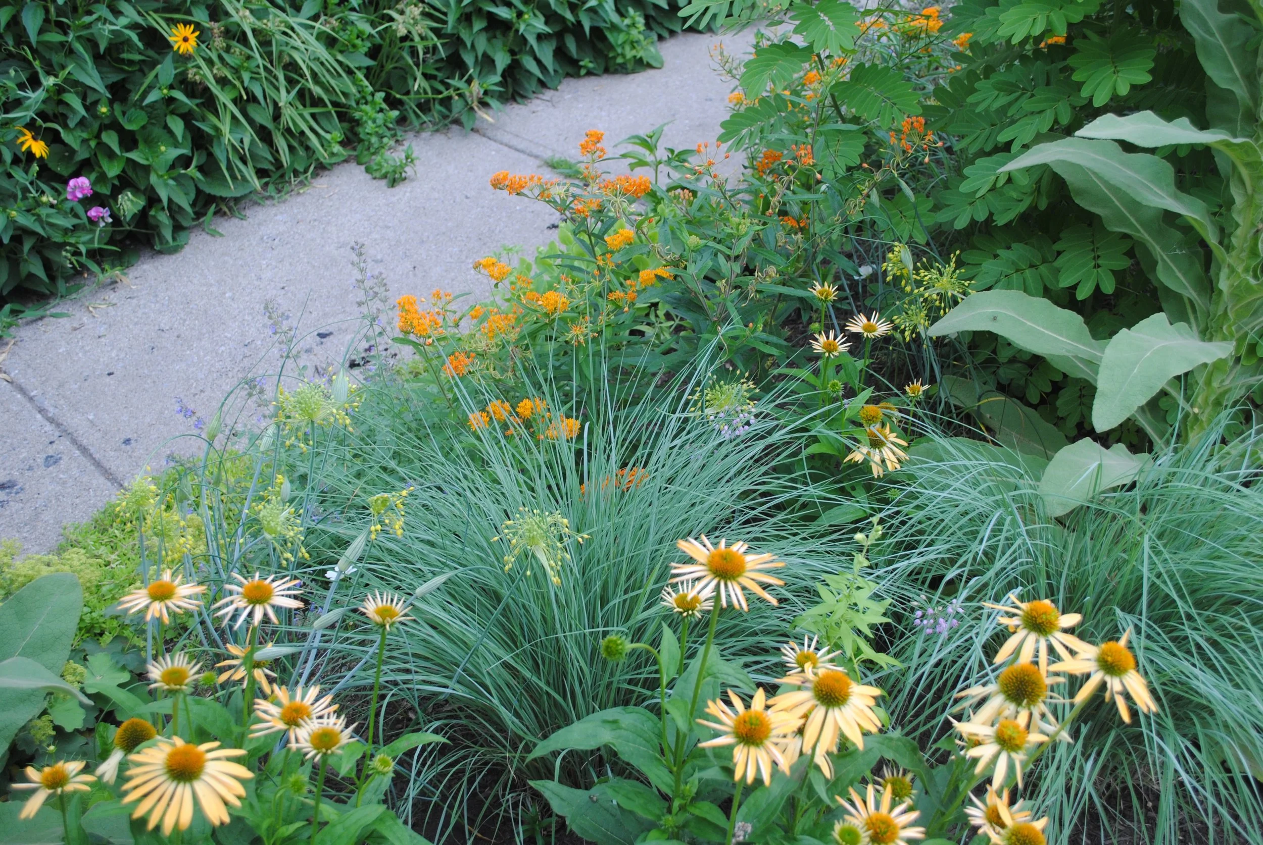 Habitat - 42 of 90.jpeg