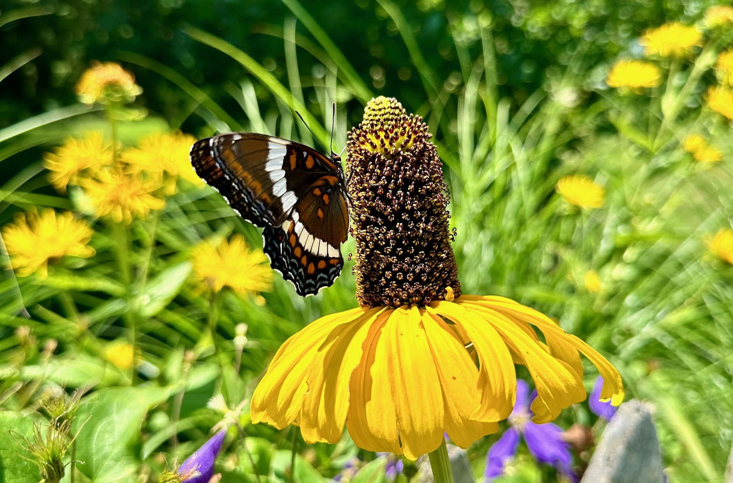 Update Website - 90 of 107.jpeg