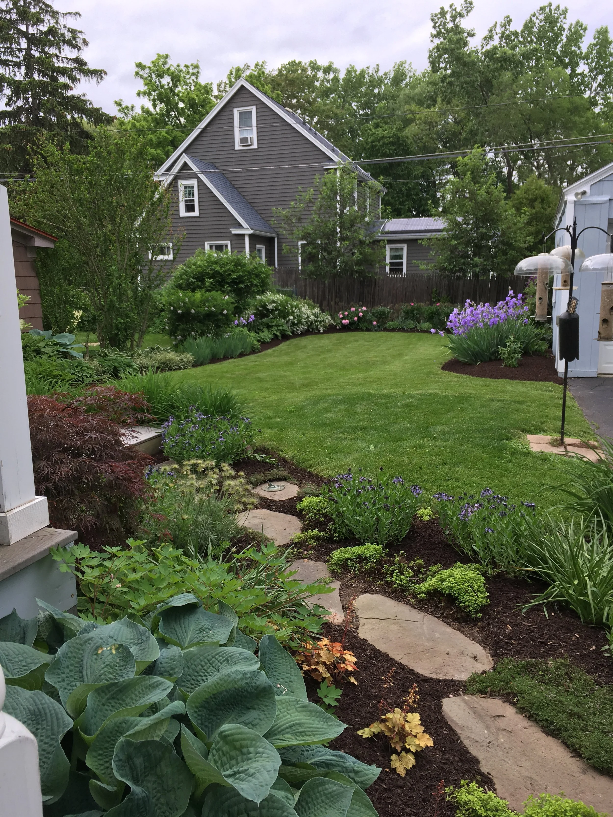 Habitat - 54 of 90.jpeg