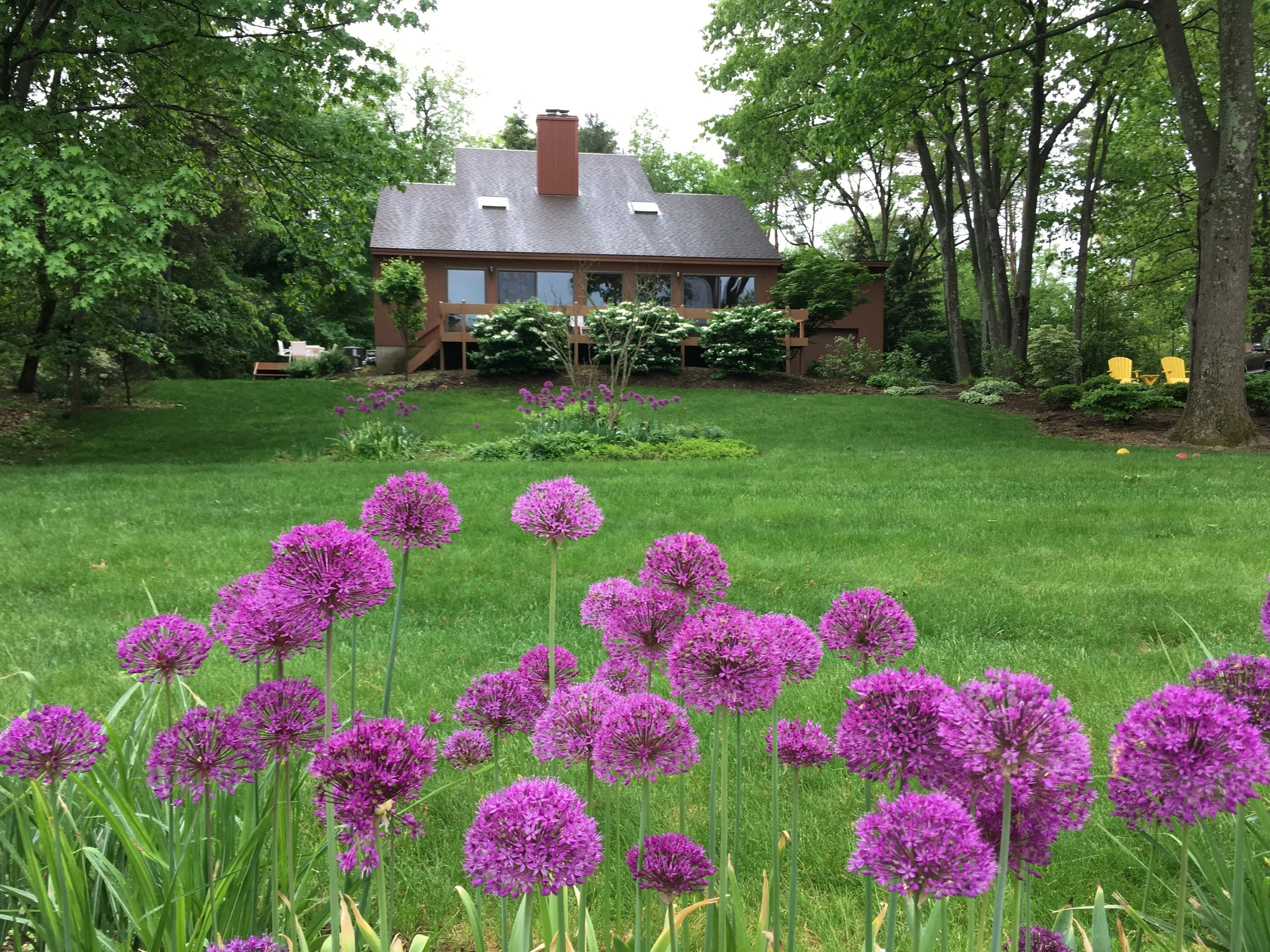 New Update - 1 of 2.jpeg