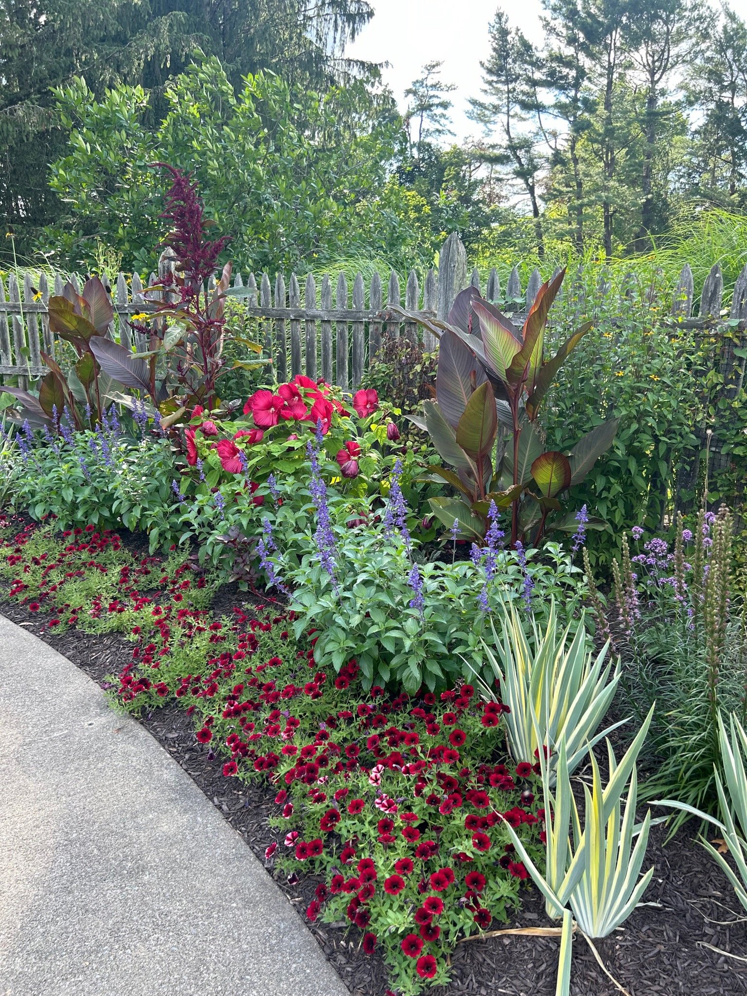 Update Website - 91 of 107.jpeg