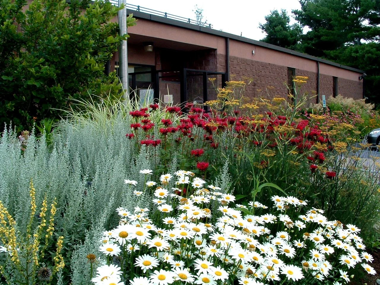 Habitat - 36 of 90.jpeg