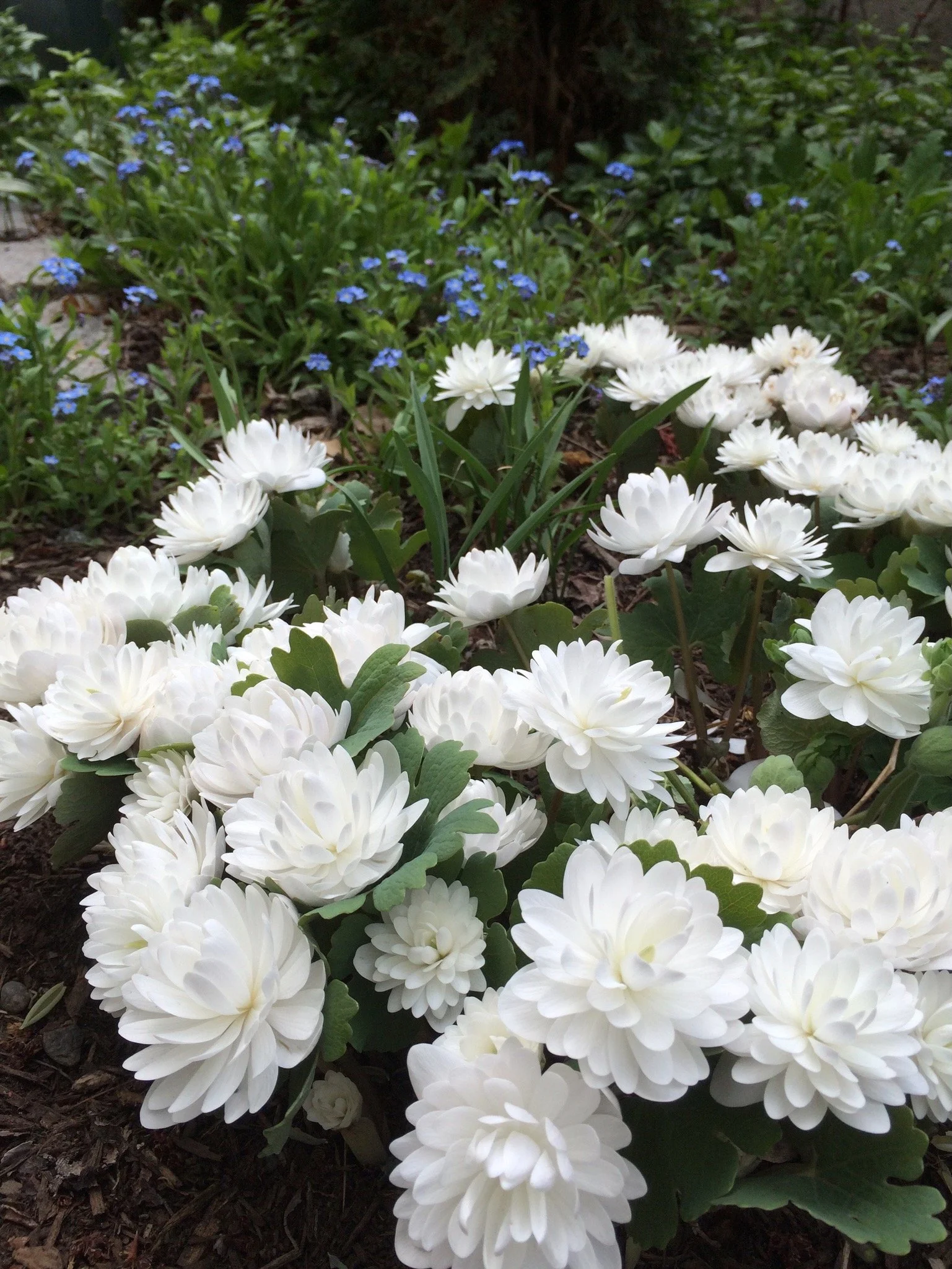 Update Website - 11 of 107.jpeg