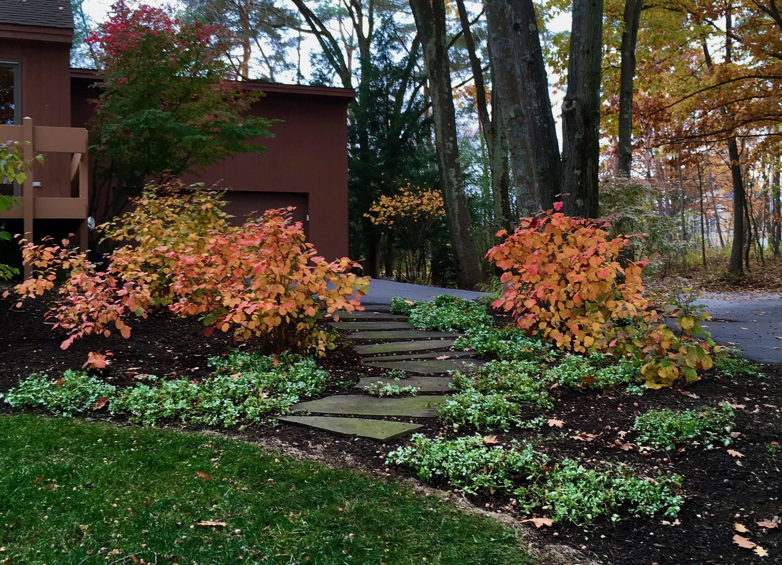 New Update - 2 of 2.jpeg