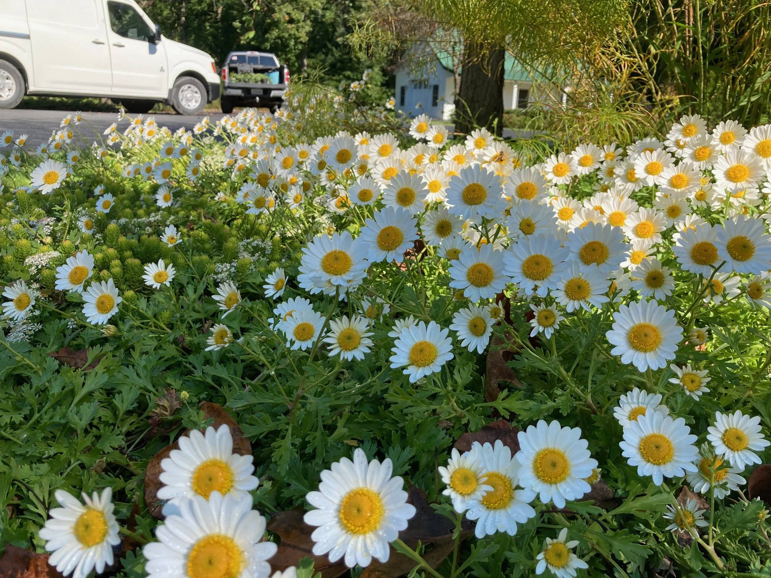 Habitat - 5 of 90.jpeg