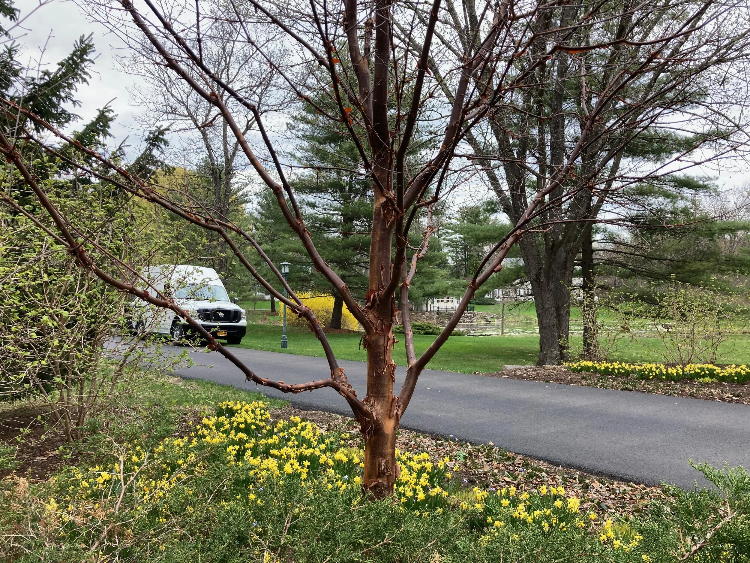 Habitat - 20 of 90.jpeg