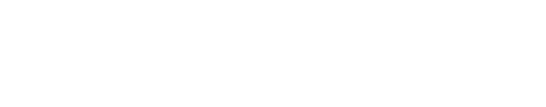 Design Sapiens